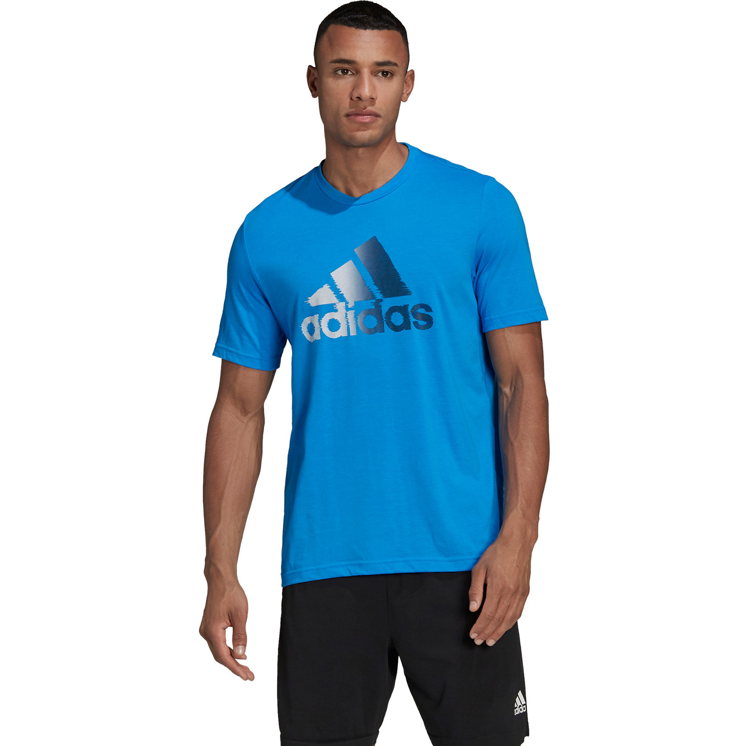 Adidas d2m logo tee shop