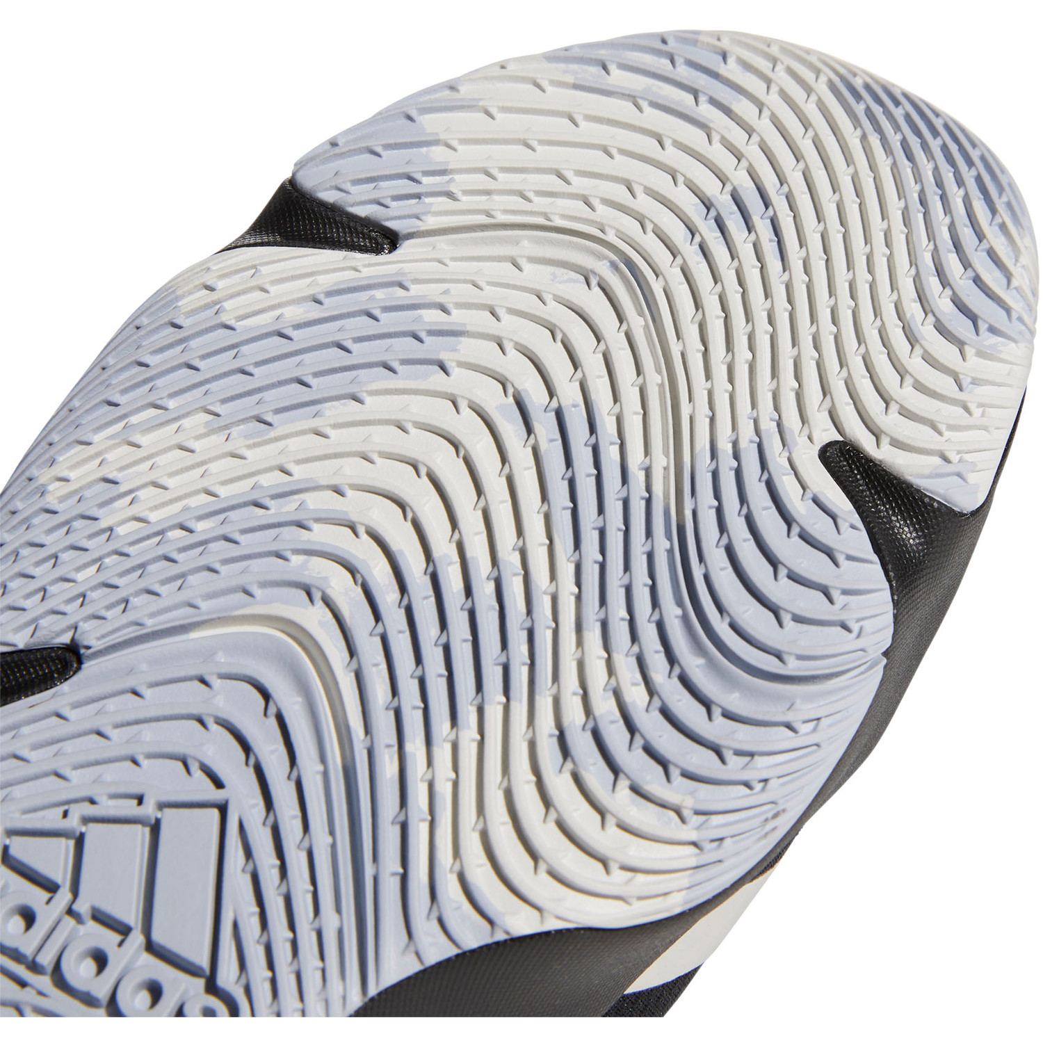 adidas Pro N3XT - Handballshop.com
