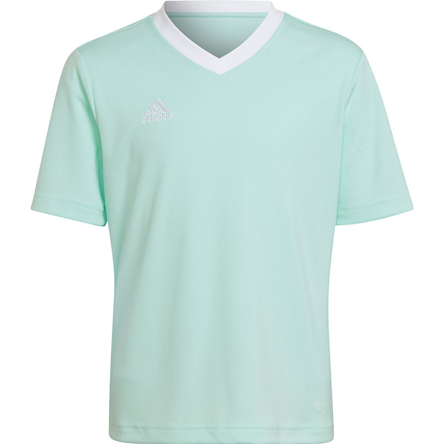 adidas entrada t shirt junior