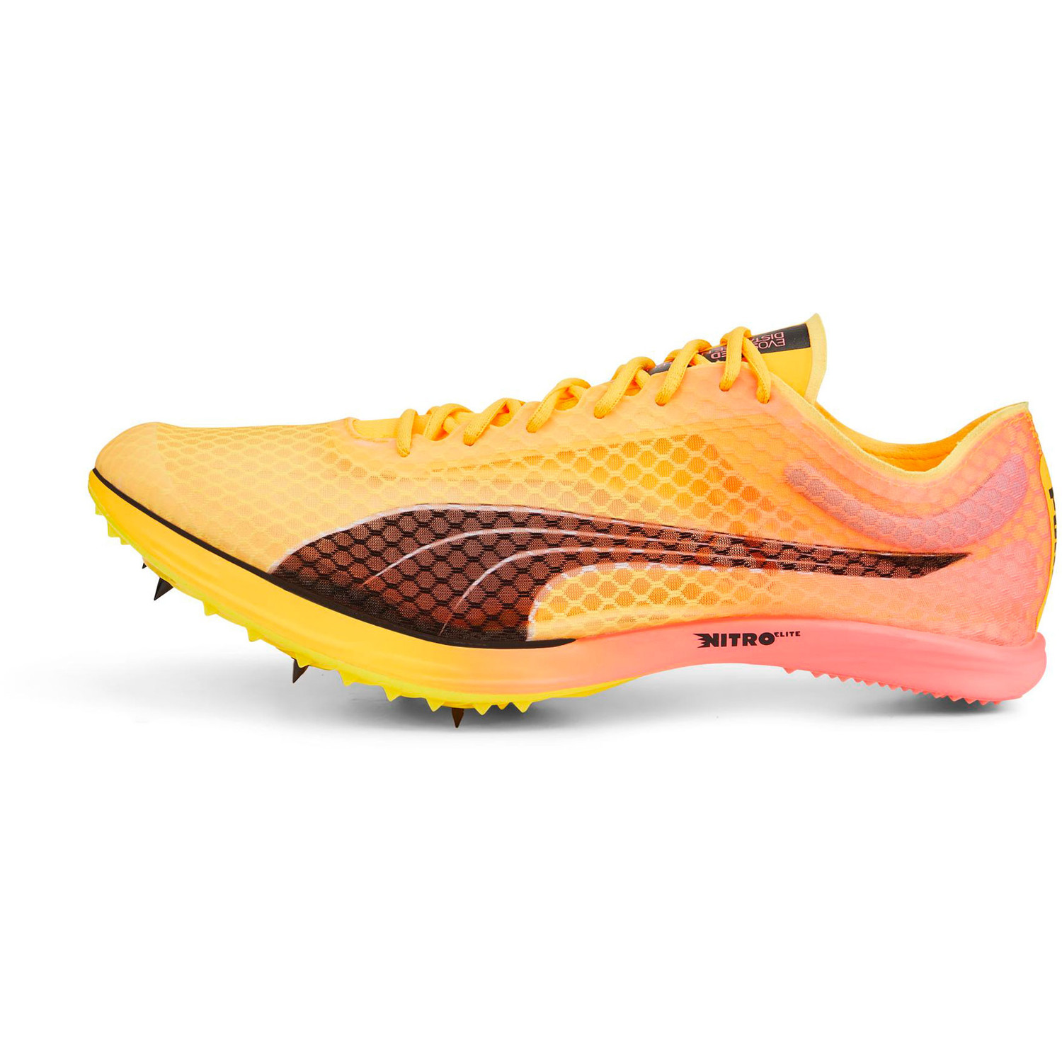 Puma evospeed netfit online
