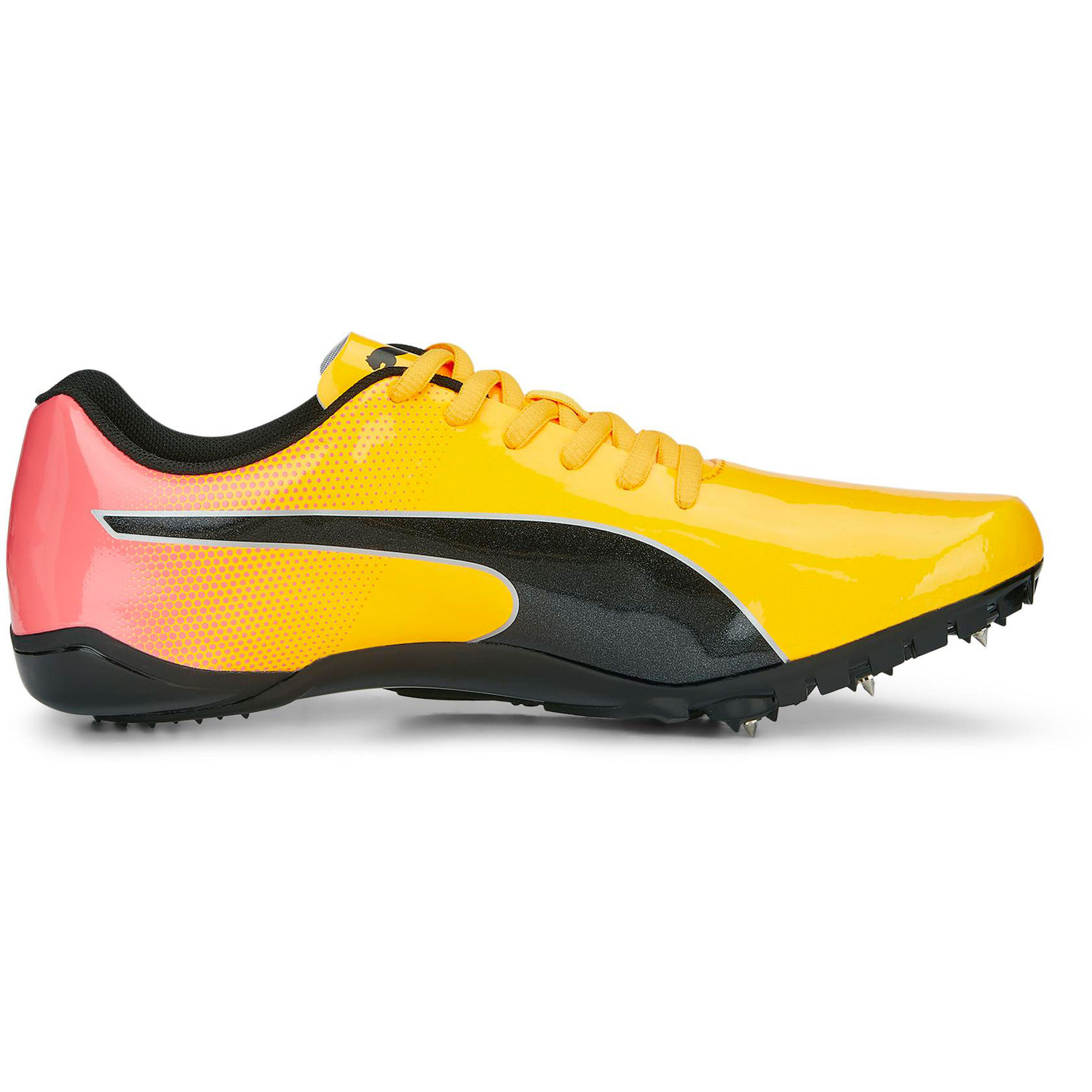 Puma evospeed latest online