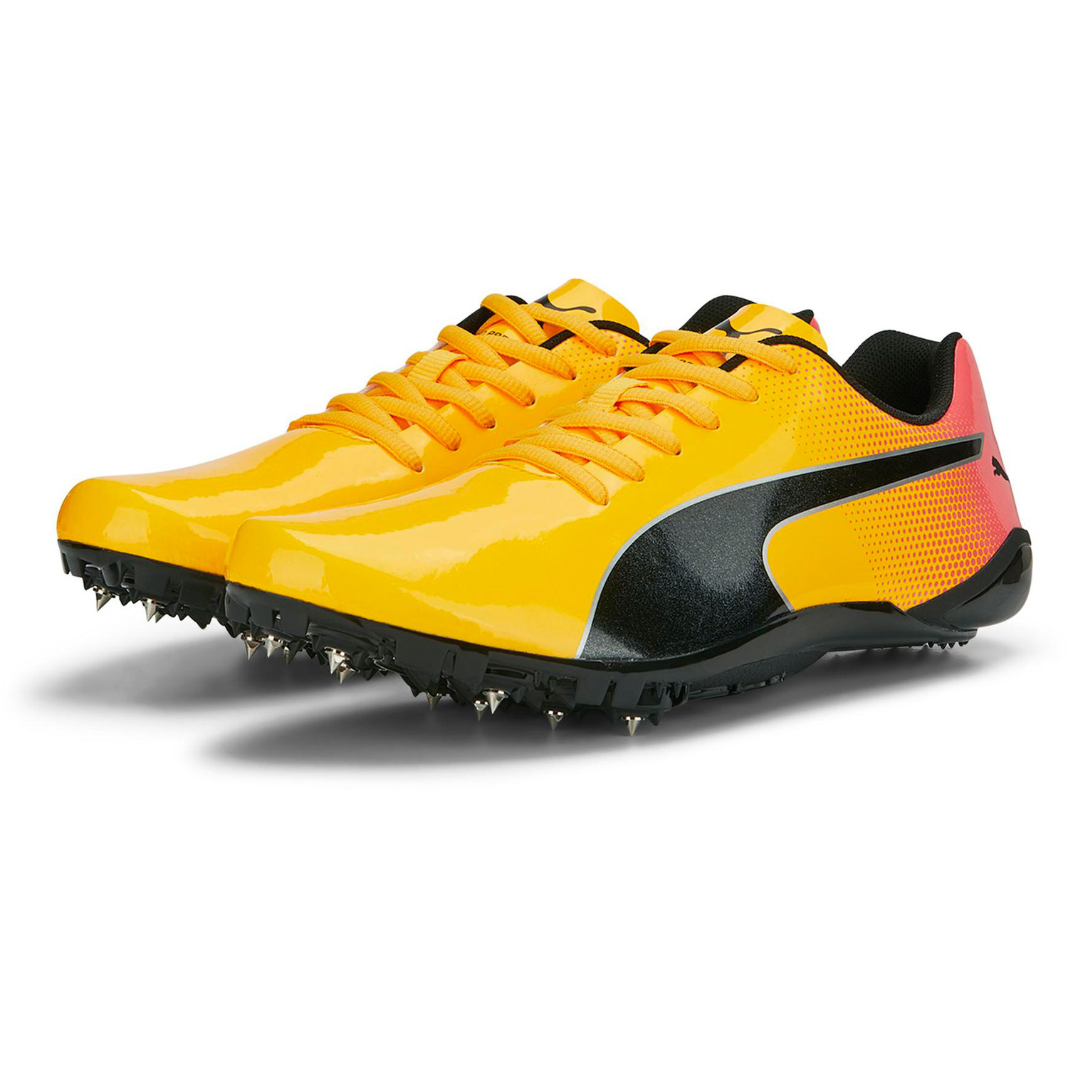 Puma evospeed sprint v7 discount