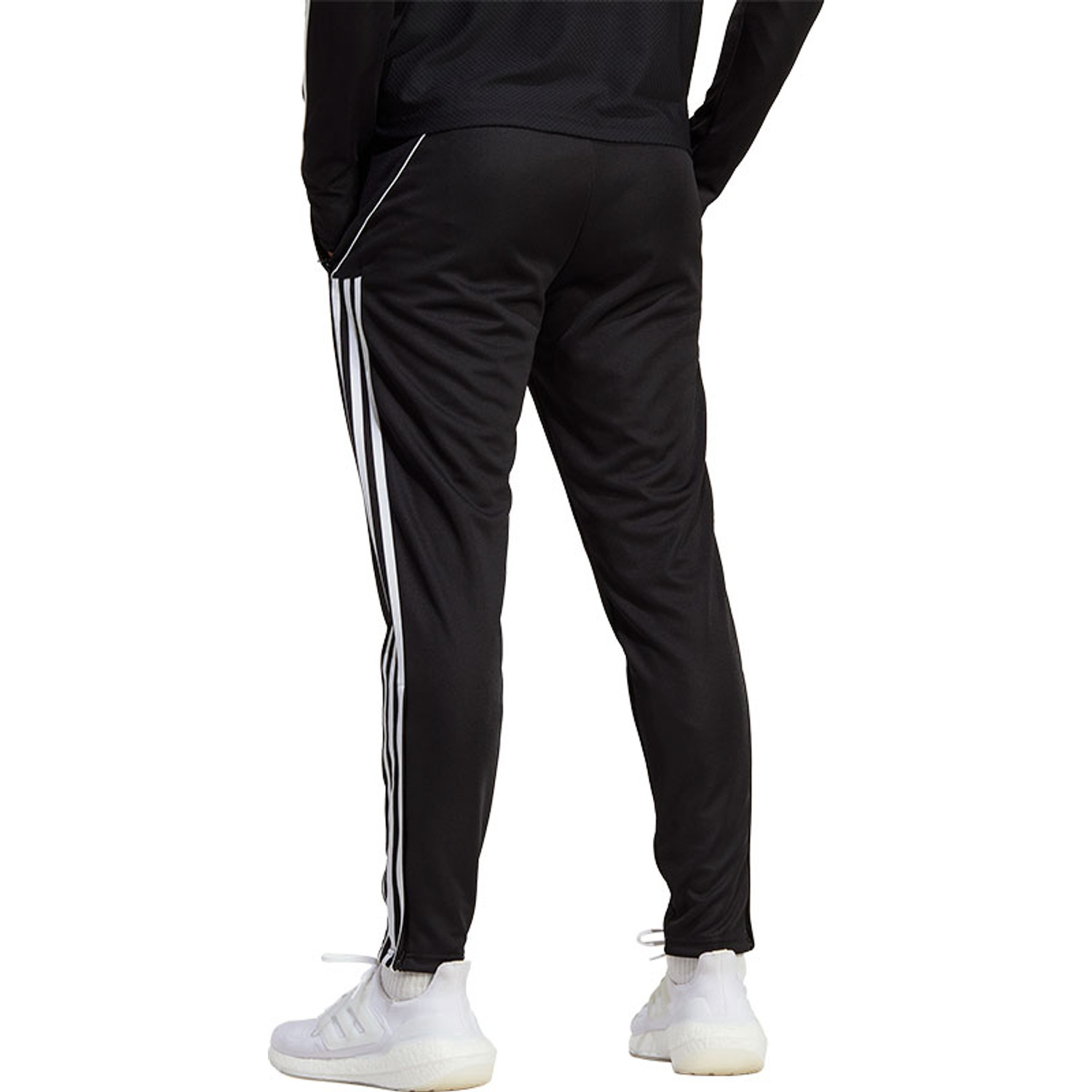adidas Tiro 23 League Training Pant Handballshop