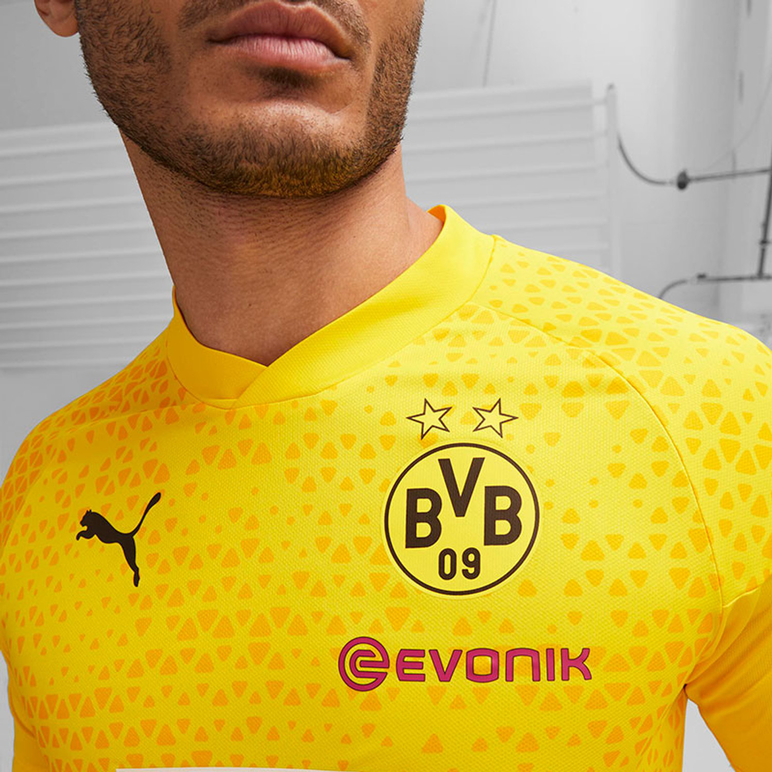 Puma Borussia Dortmund Trainingsshirt 2023/2024