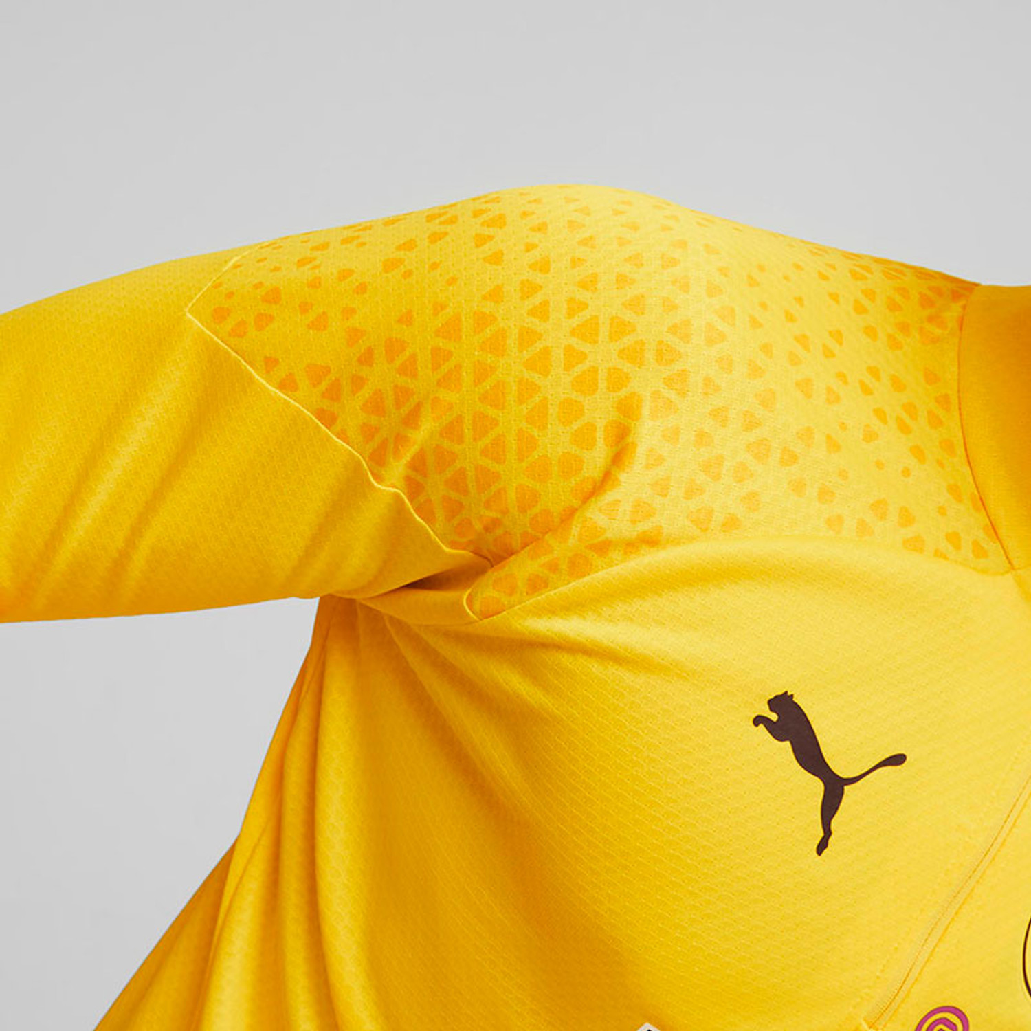 Puma Borussia Dortmund Training Top 2023/2024