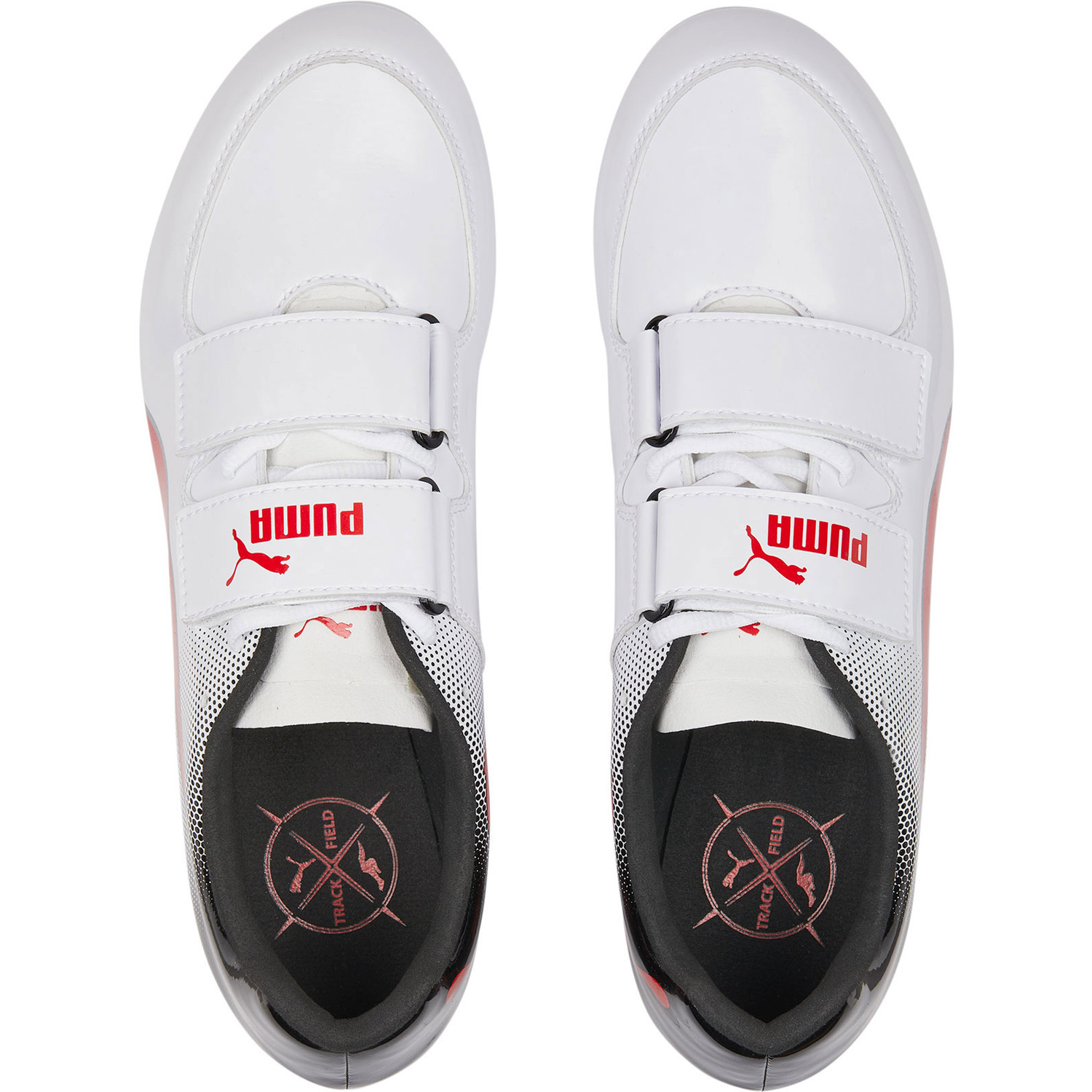 パウロ PUMA evoSpeed Triple Jump 10 - PassaSports.com