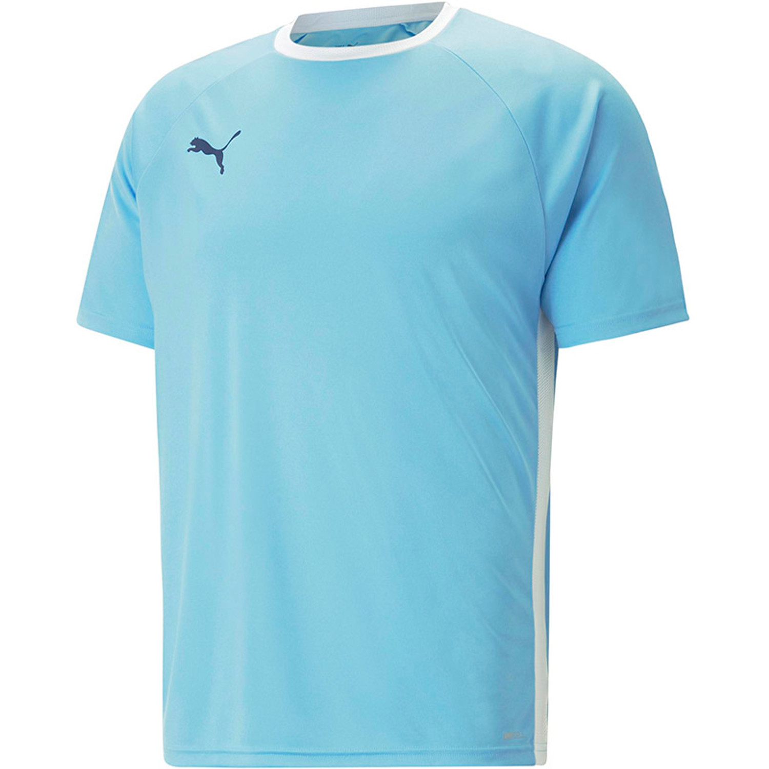 Puma Team Liga Tee Sportshop
