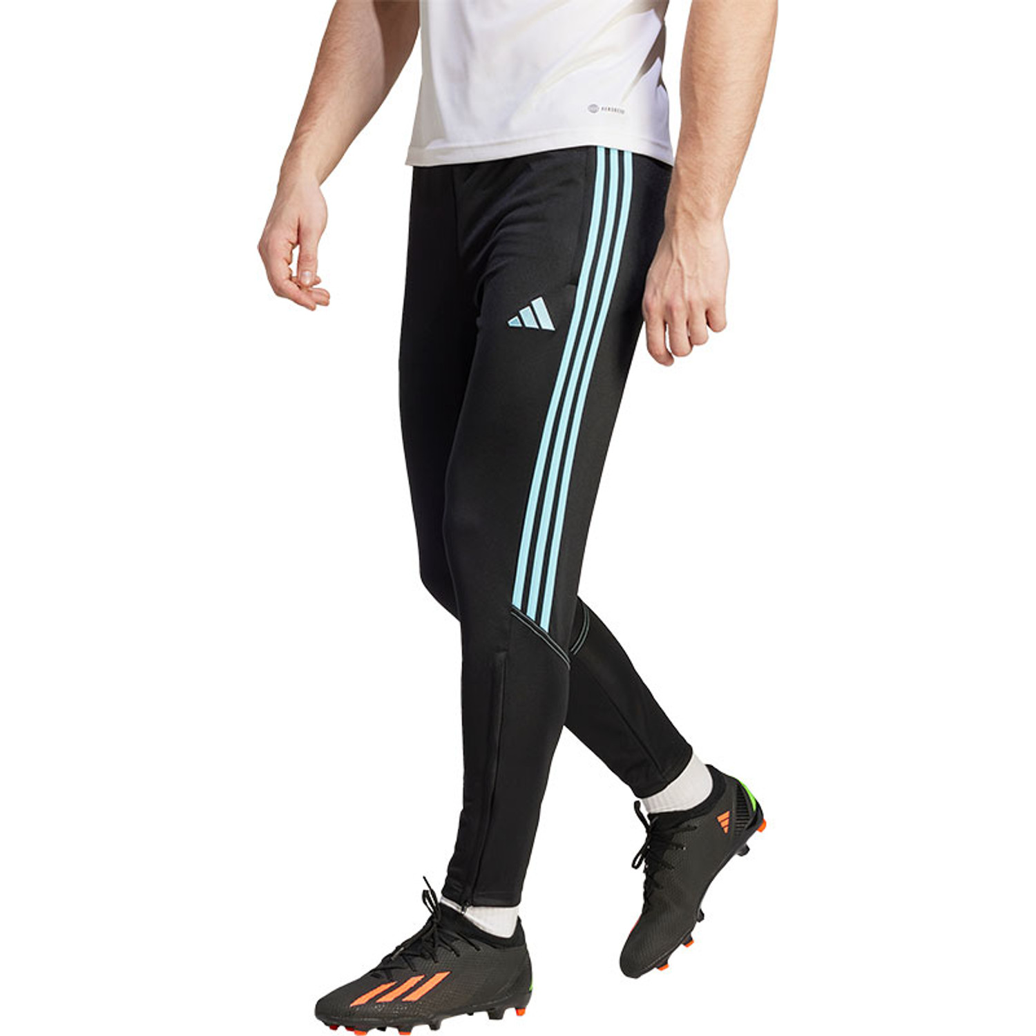 adidas Tiro 23 Club Training Pant