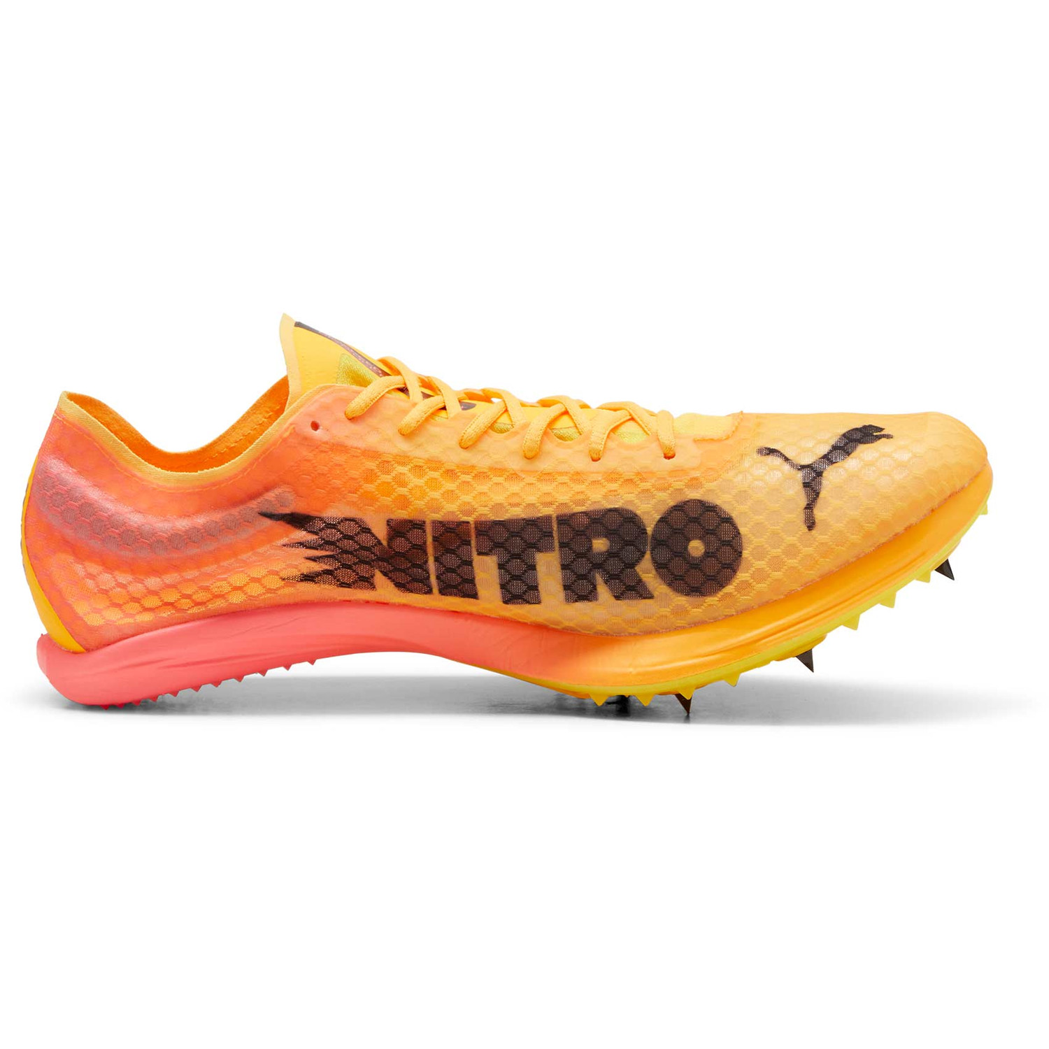 PUMA evoSPEED Distance Nitro Elite+ 4 - PassaSports.com