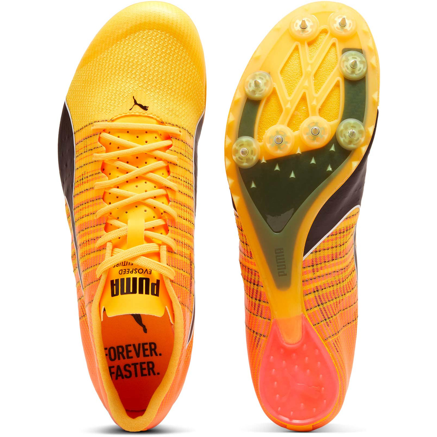 PUMA evoSPEED FUTURE 6 - PassaSports.com