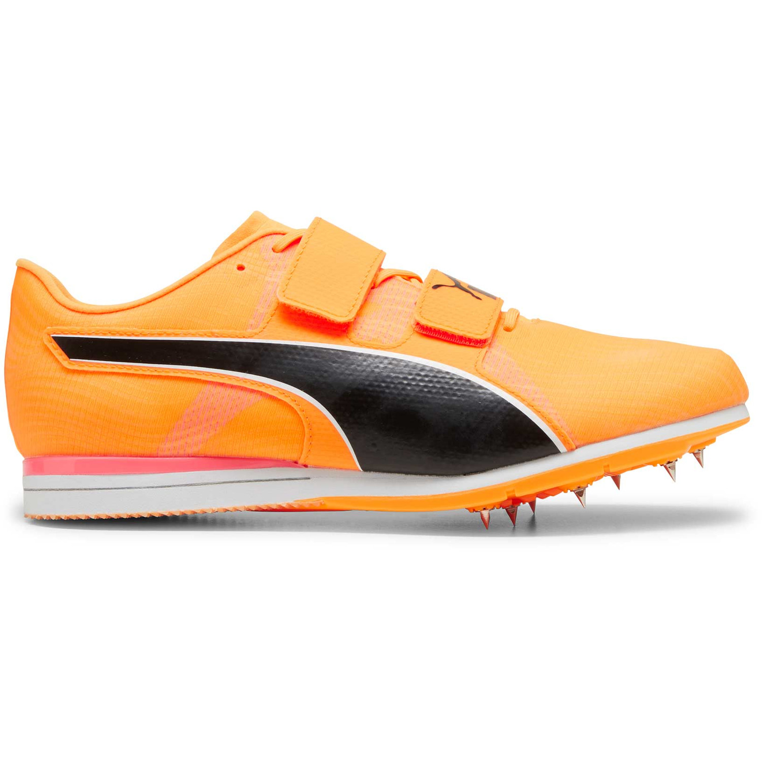 Puma evospeed orange sales
