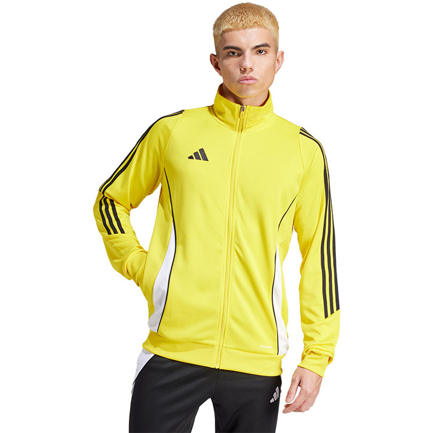 adidas Tiro 24 Training Jacket - PassaSports.com