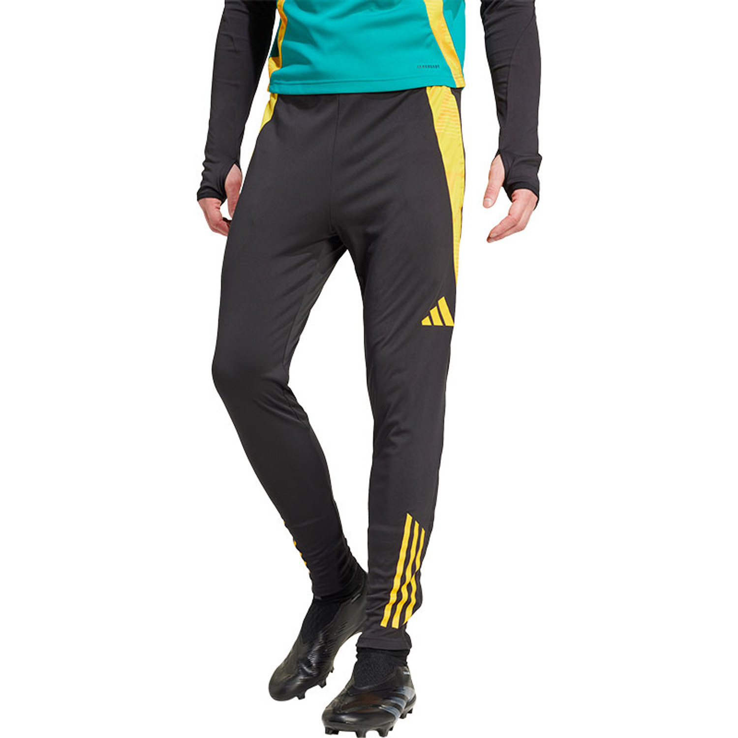 adidas Jamaika Training Hose Sportshop
