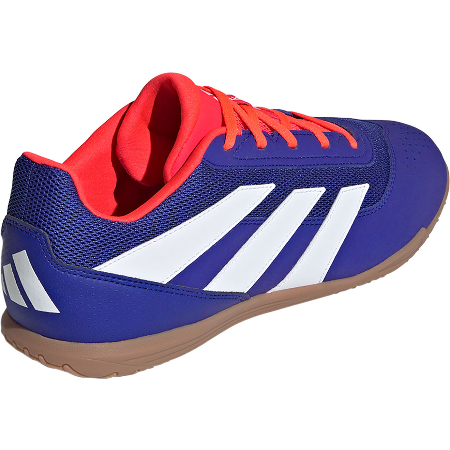 adidas Predator Club Indoor Sportshop