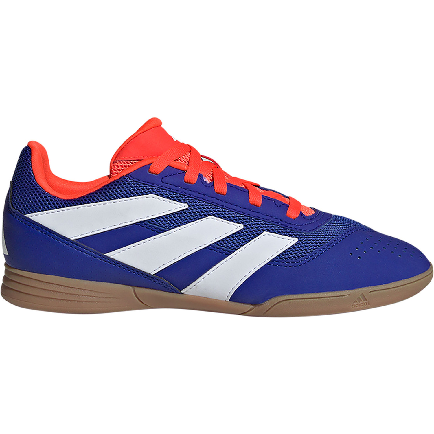 adidas Predator Club Halle Kinder Sportshop