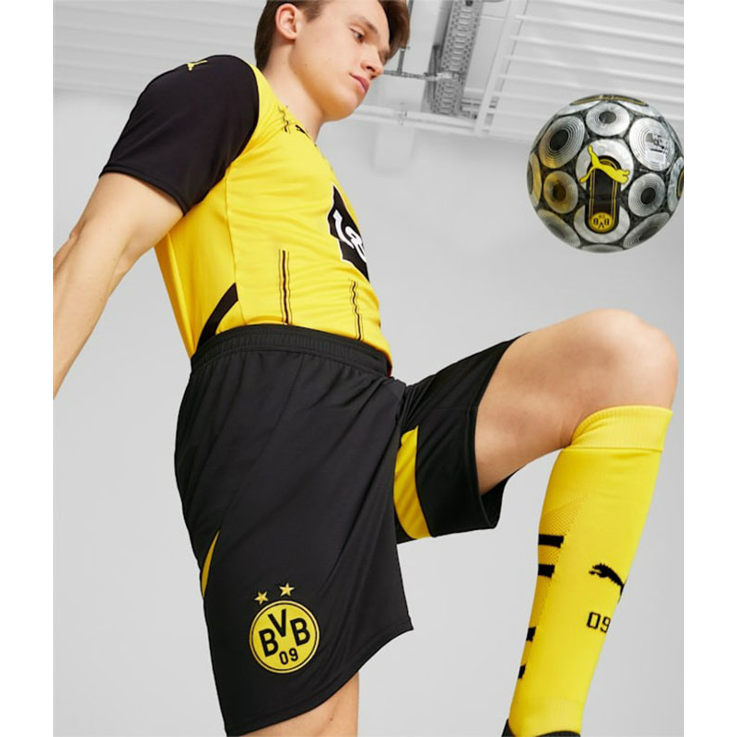 Bvb shorts top