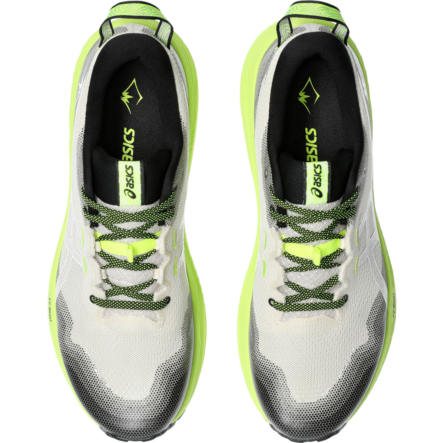 ASICS GEL Trabuco 12 Herren RunningDirect