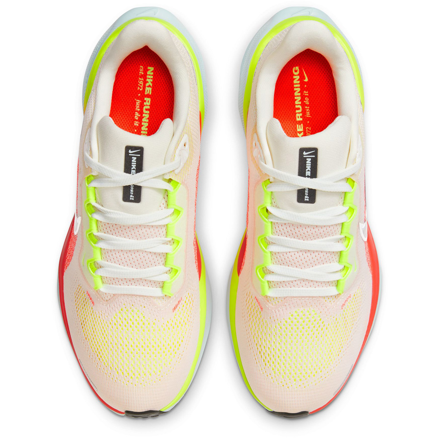 Nike Pegasus 41 Women