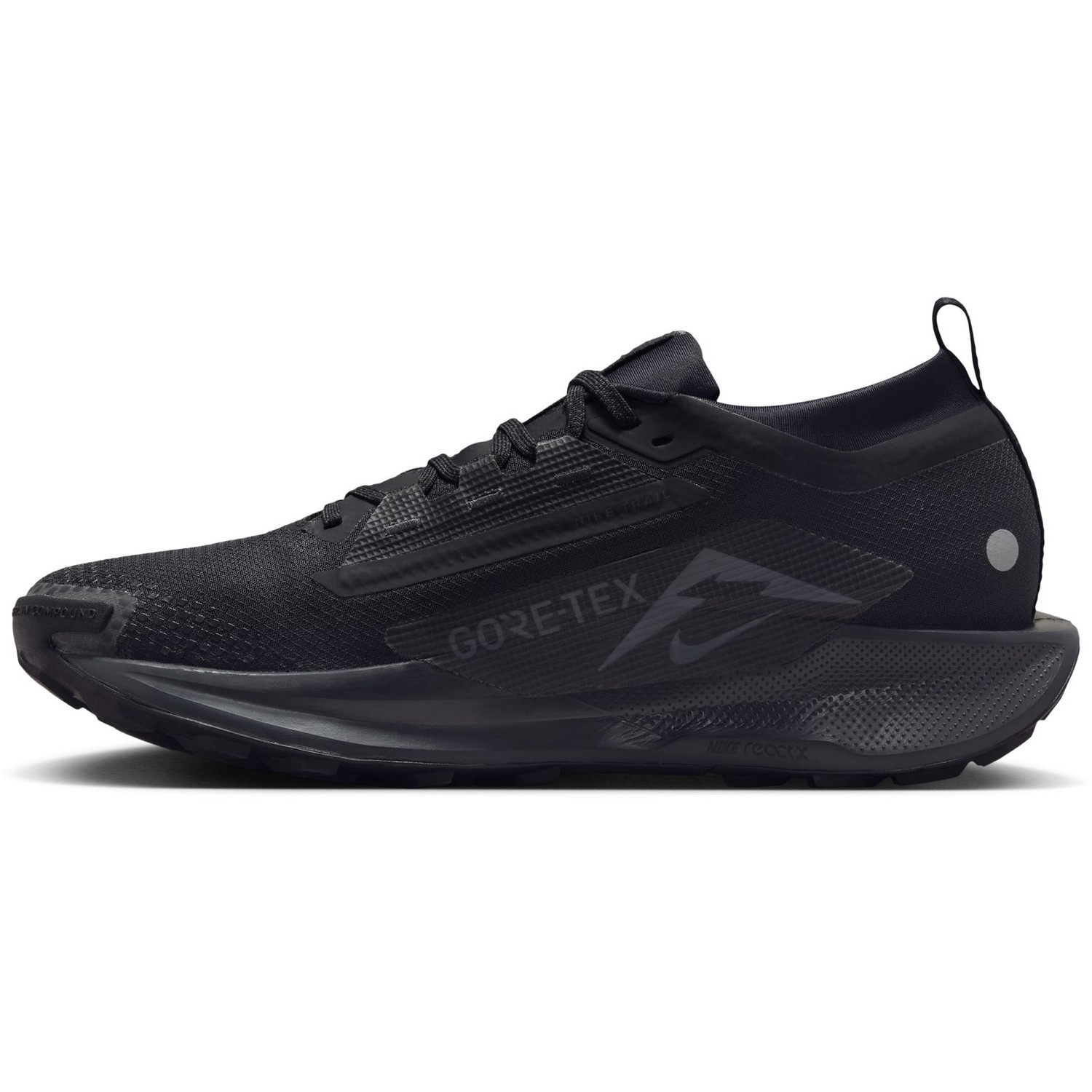 Nike Pegasus Trail 5 GTX Men - PassaSports.com