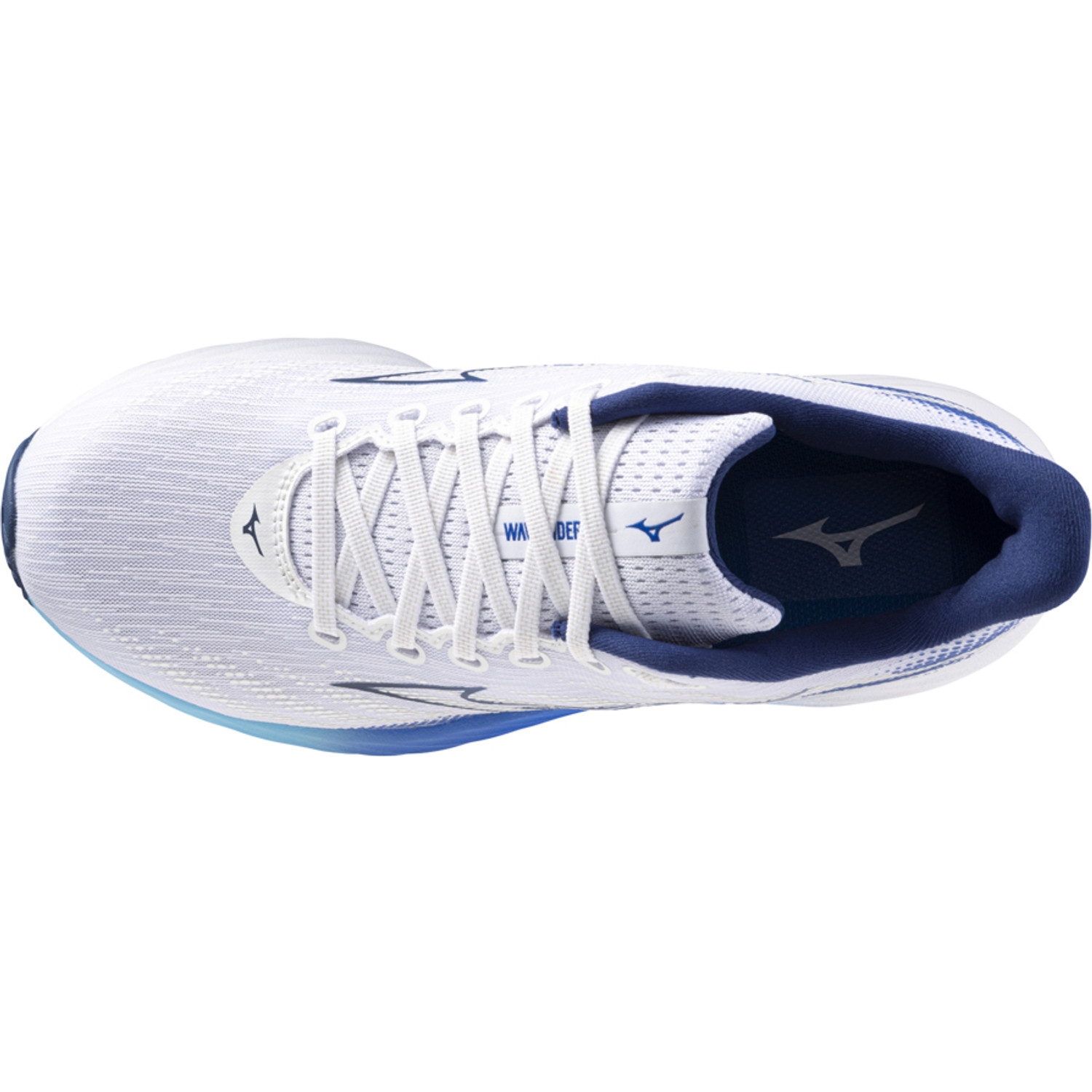 Mizuno wave rider 17 heren online