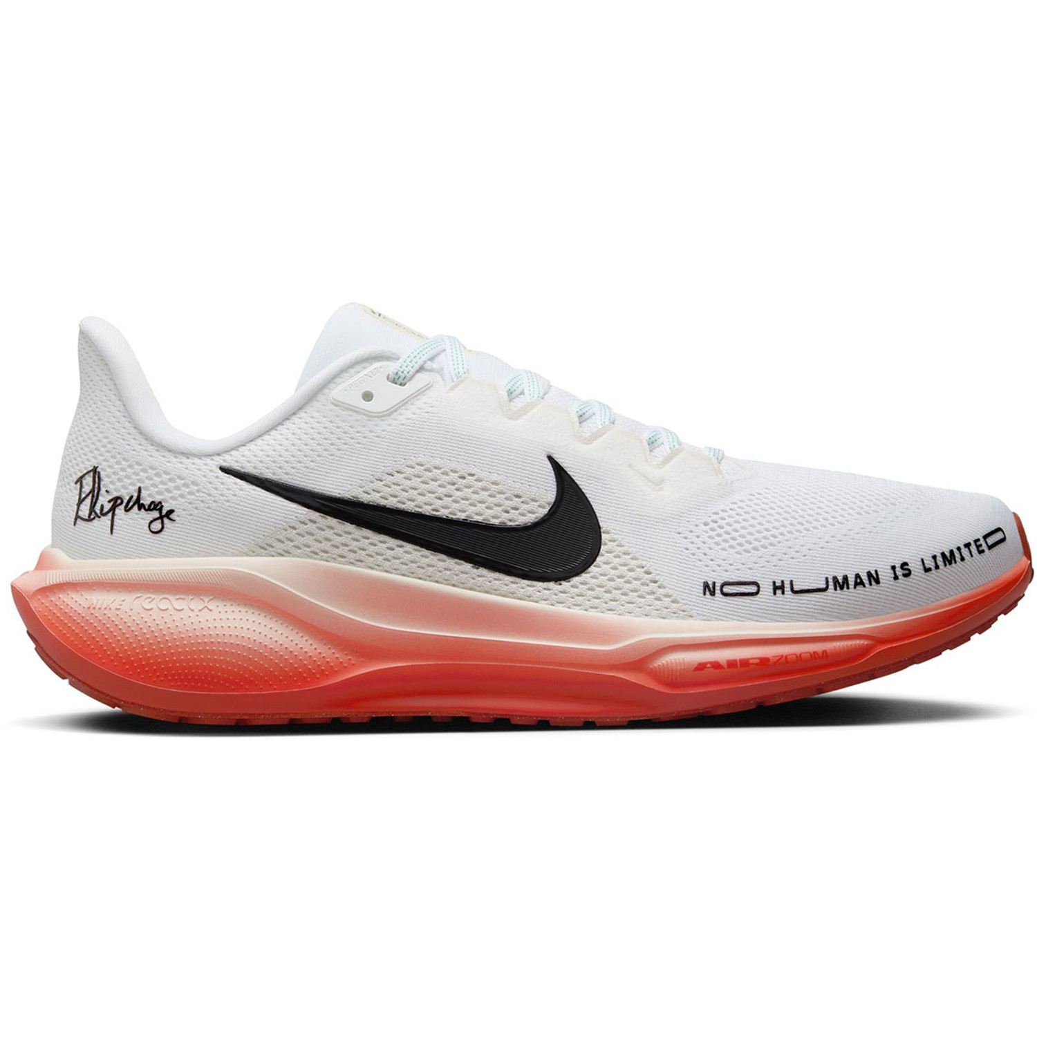 Nike Pegasus 41 EK Herren RunningDirect