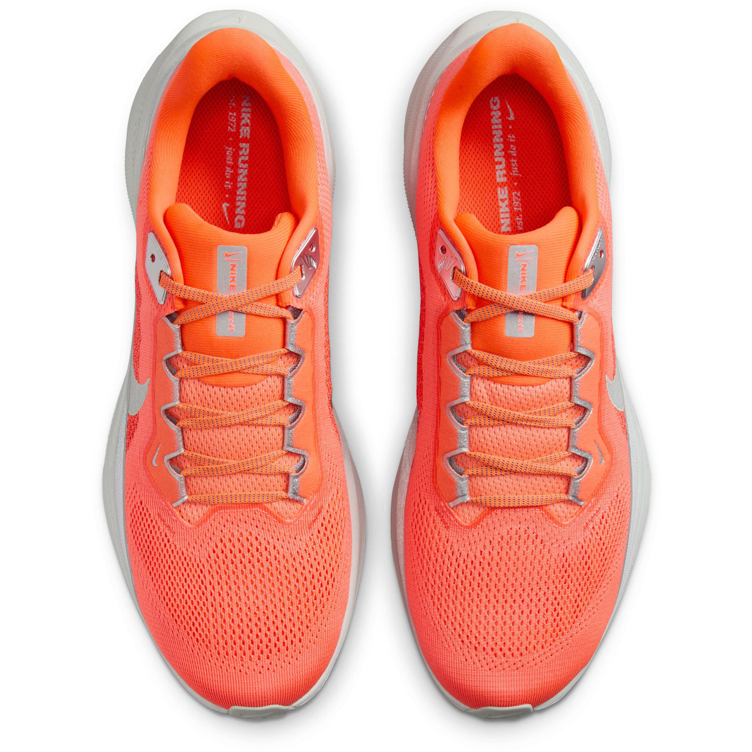 Nike Hardloopschoenen Snelle Hardloopschoenen Nike Pegasus 41 PRM
