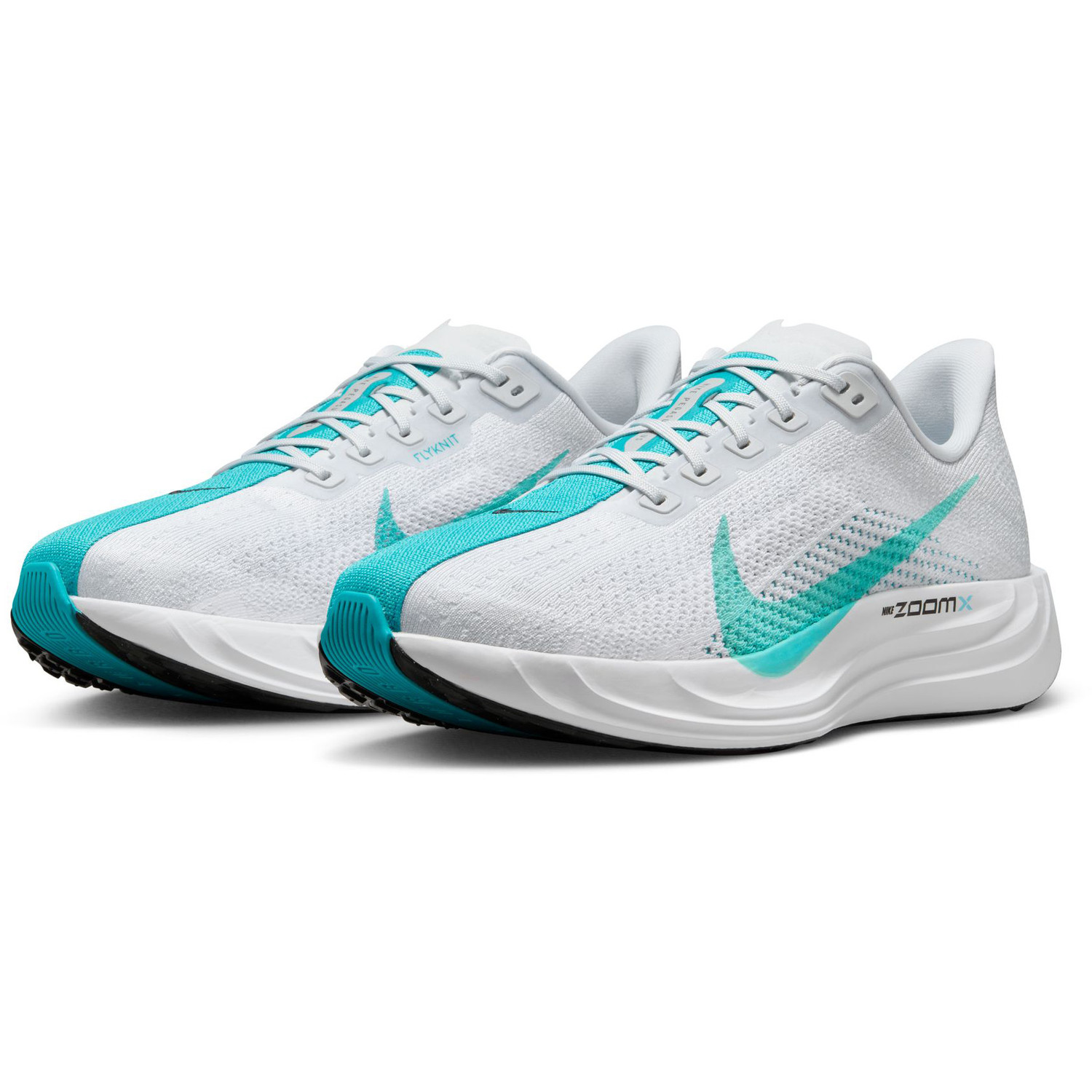 Nike Pegasus Plus Men - PassaSports.com