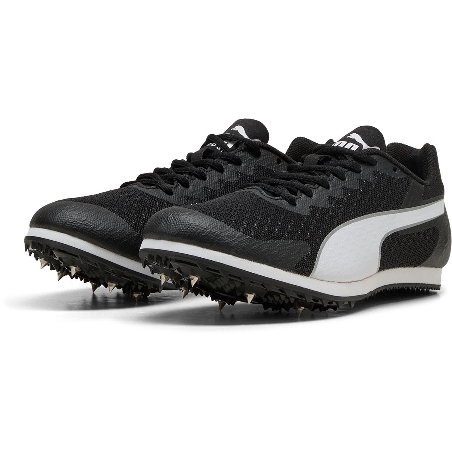 【激レア品】EVOLUTION~ENTERING THE NEW WORLD~ png