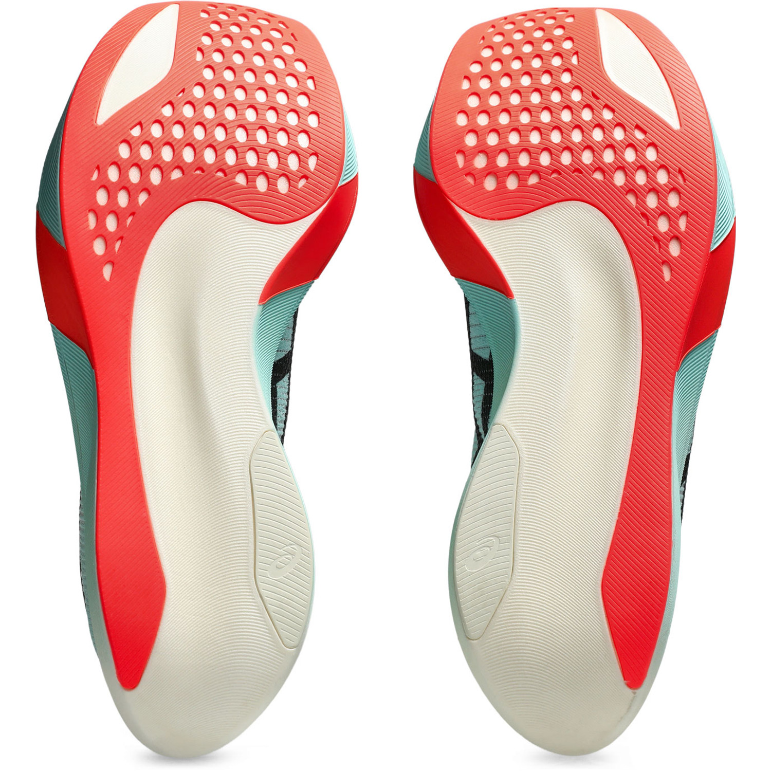 ASICS Metaspeed Sky Paris - PassaSports.nl