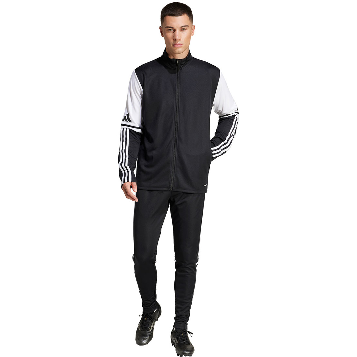 adidas Squadra 25 Training Pant - PassaSports.com