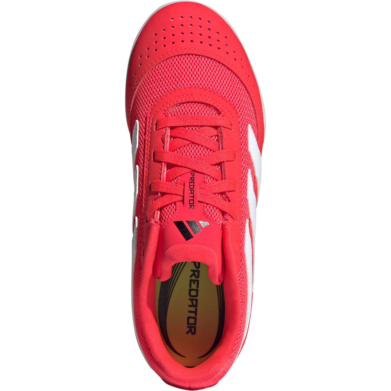 adidas Predator Club Indoor Kids - PassaSports.com