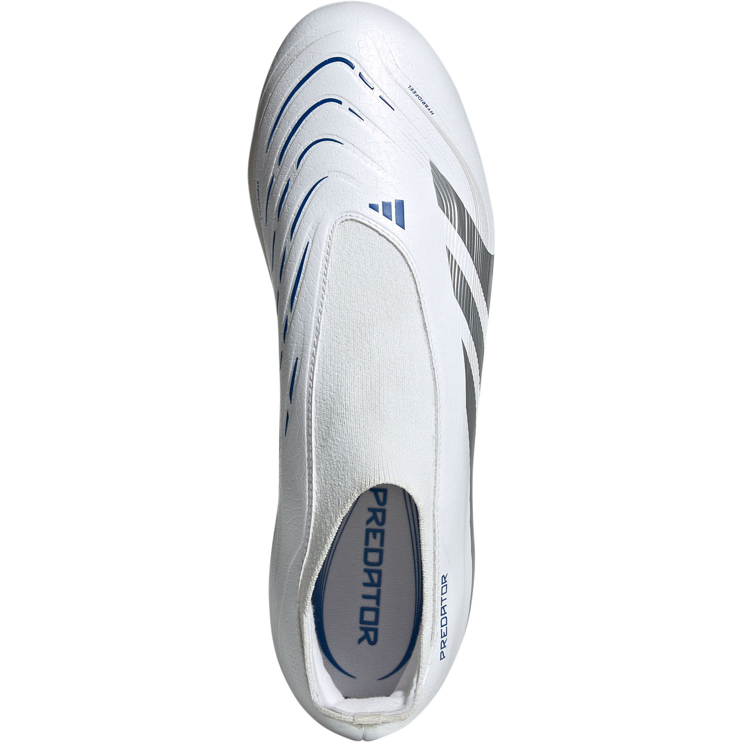 adidas gazelle silver green womens adidas Predator Accuracy.3 Laceless FG - Bright Royal/White/Bliss Blue main image 0