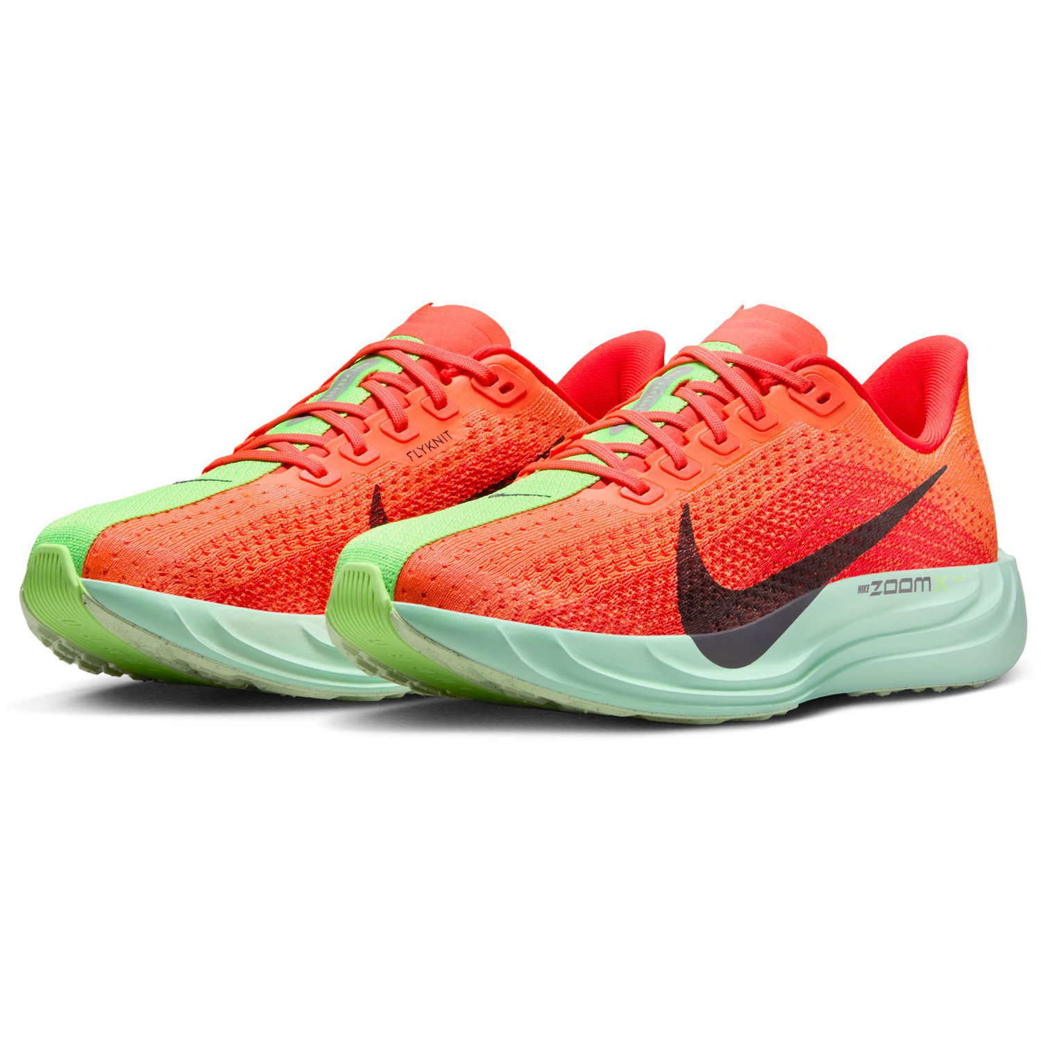 Nike Pegasus Plus Women - PassaSports.com