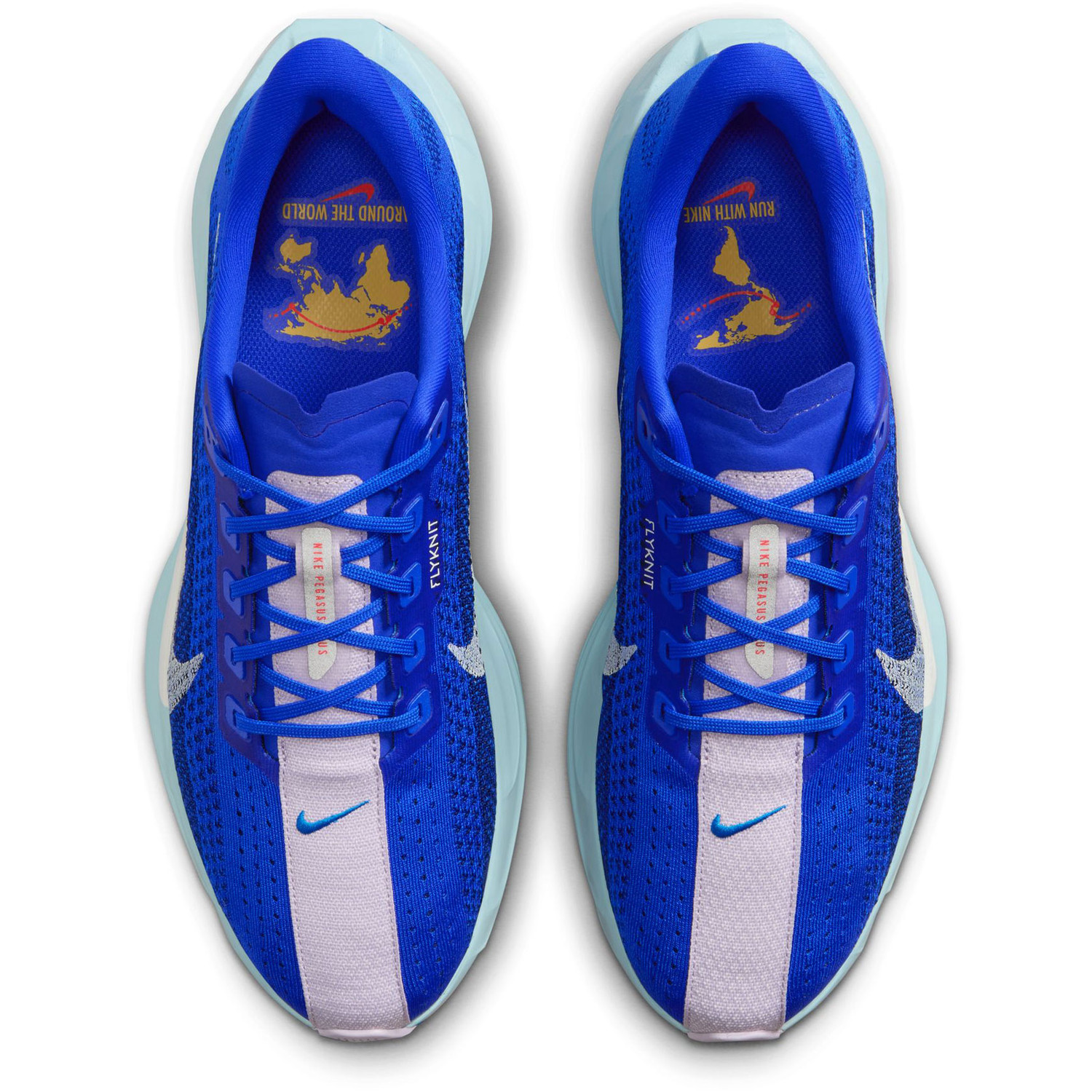 Nike Pegasus Plus CM Men - PassaSports.com