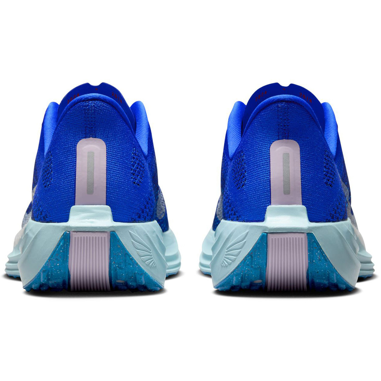 Nike Pegasus Plus CM Men - PassaSports.com