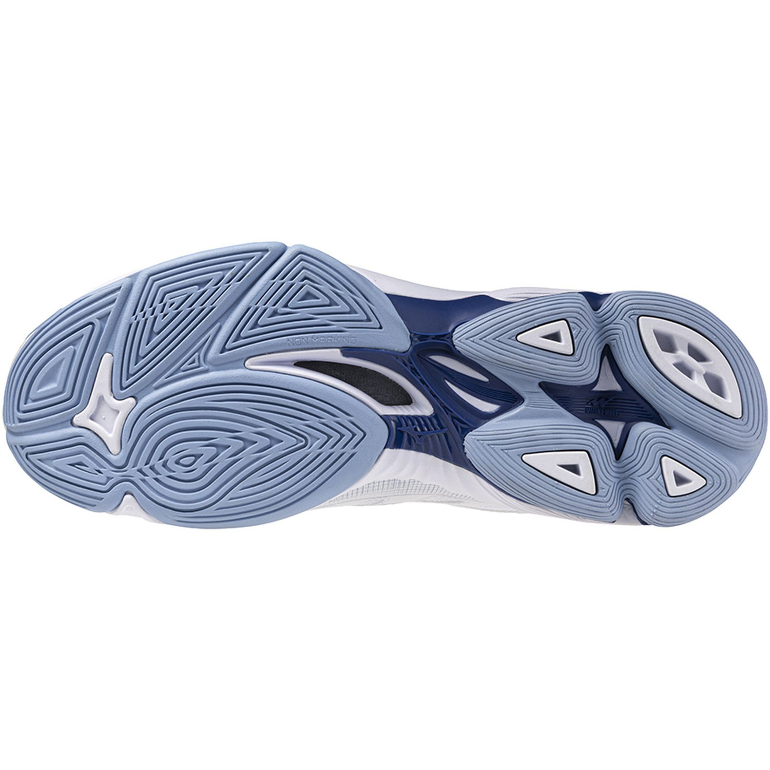 Mizuno Wave Voltage 2 - Volleybalshop.nl