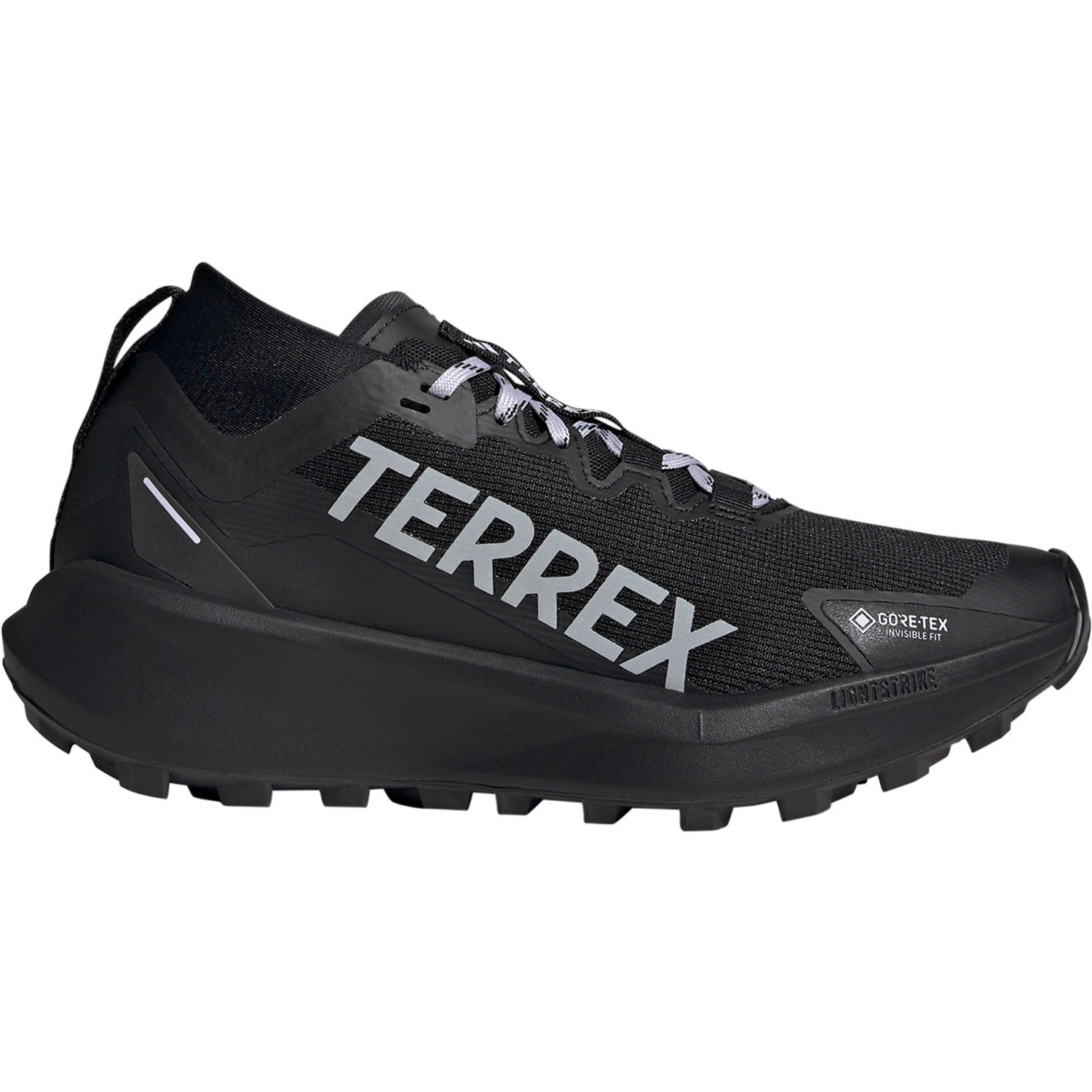adidas Terrex Agravic GTX Women