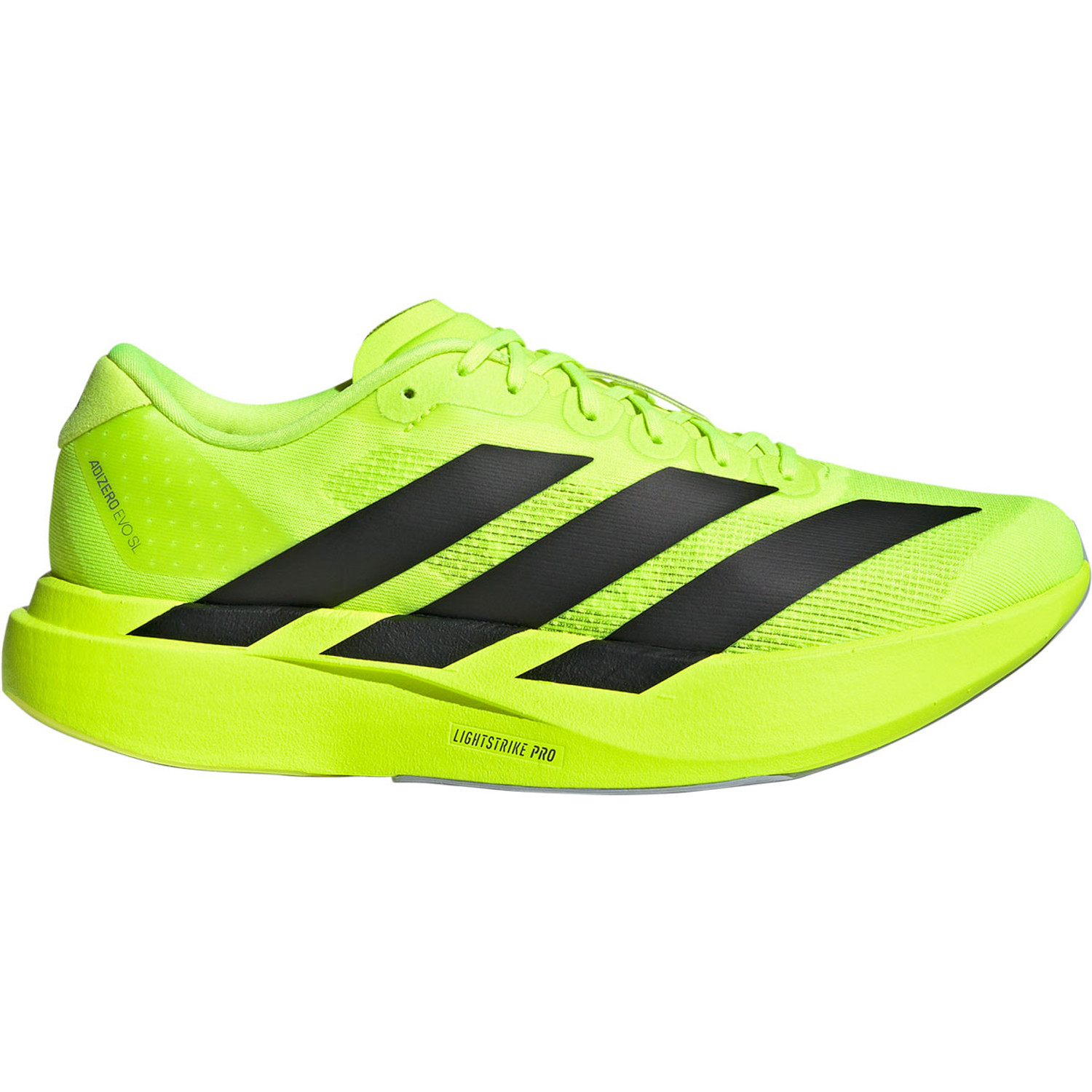 adidas Adizero Evo SL Men - PassaSports.com