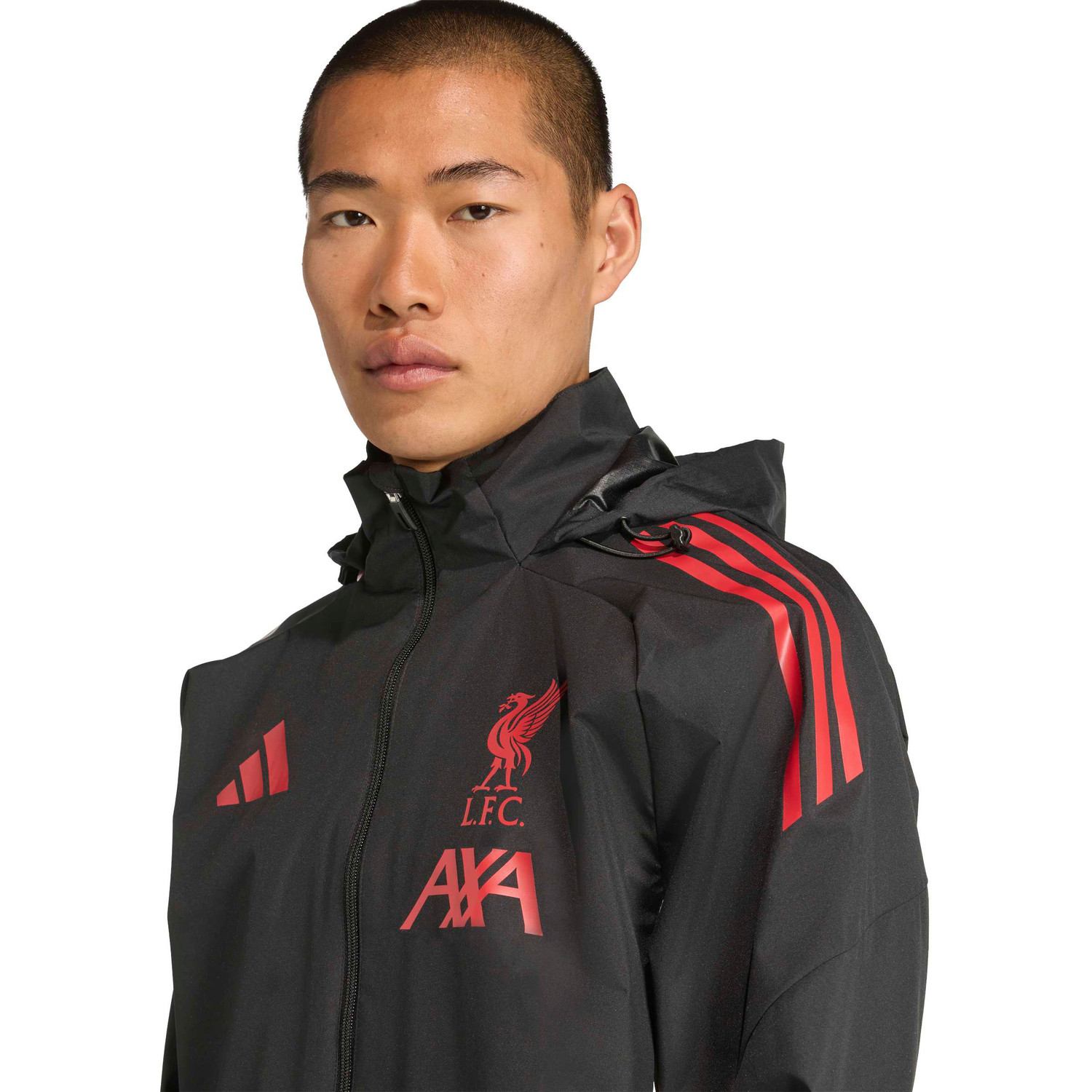 Liverpool Winterjas Dons Strike Therma-FIT Managers Collection - Groen/Zwart/Beige