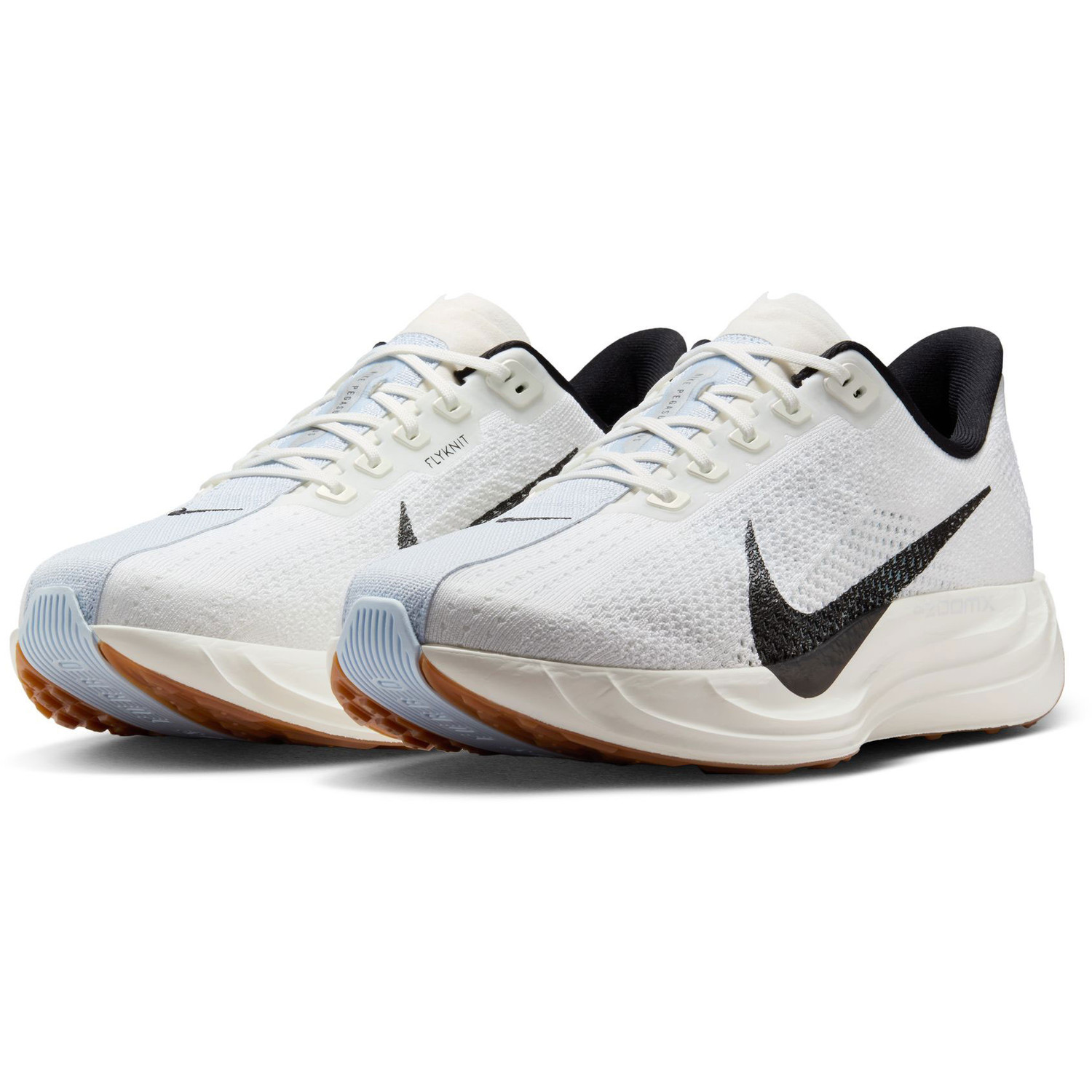 Nike Pegasus Plus Men - PassaSports.com