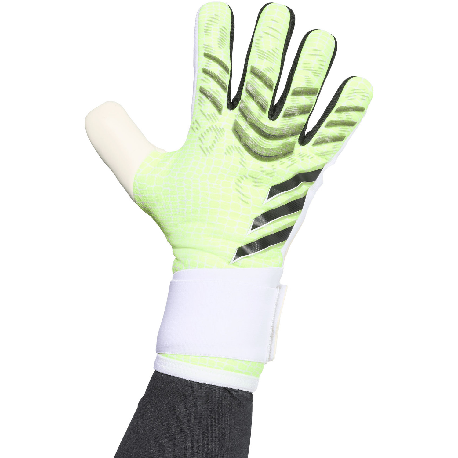 adidas Predator Competition - PassaSports.se