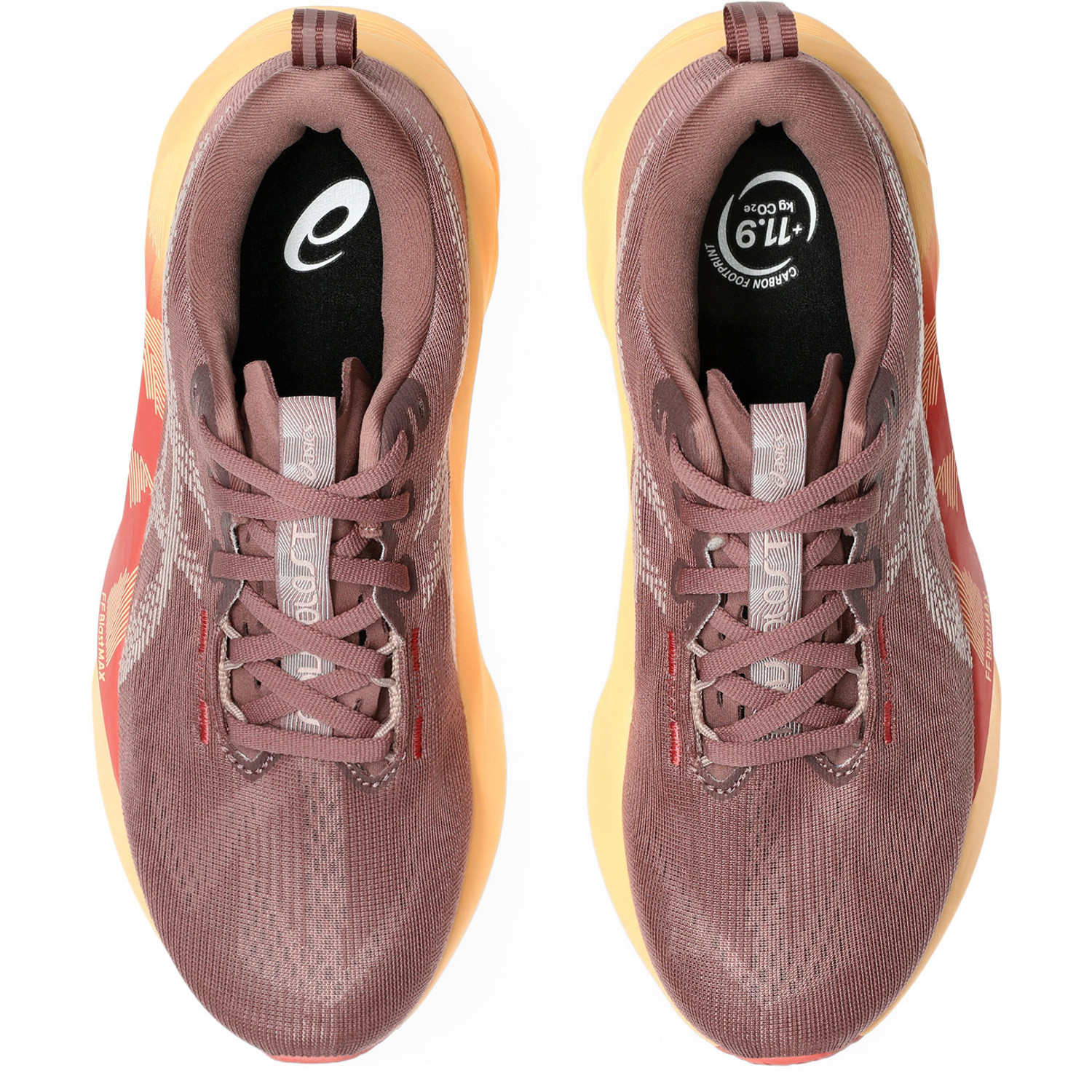 ASICS Novablast 5 Women - PassaSports.com