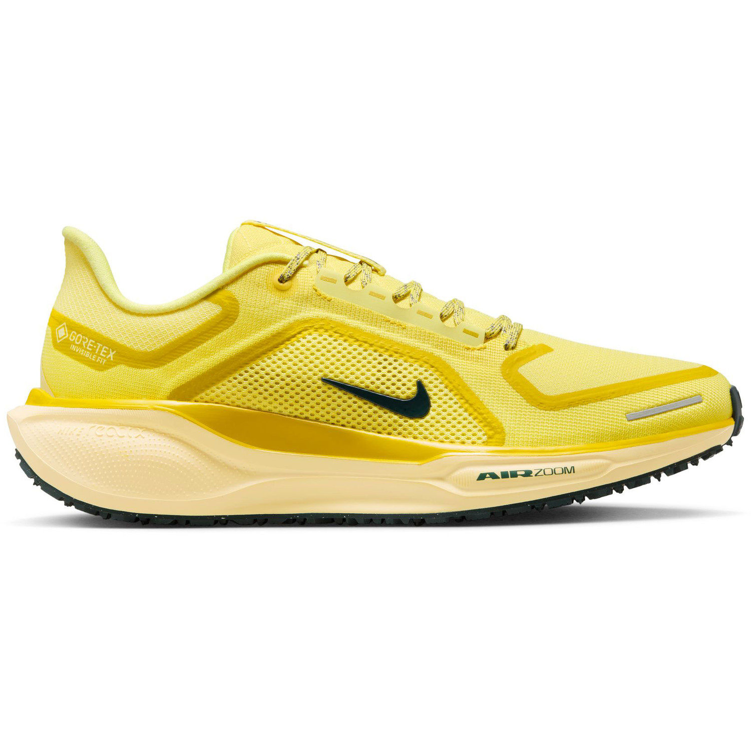 Nike Pegasus 41 GTX Men - PassaSports.com