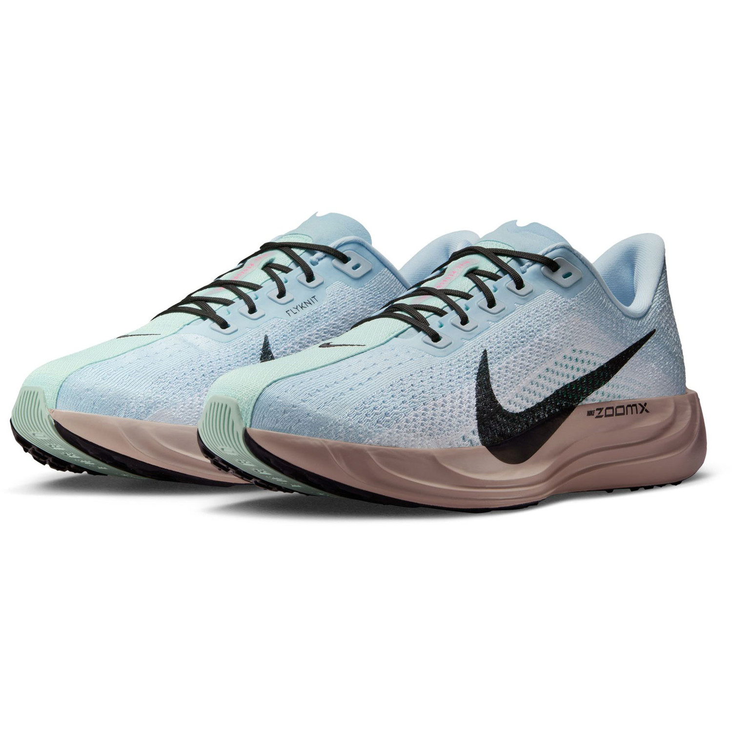 Nike Pegasus Plus Men - PassaSports.com