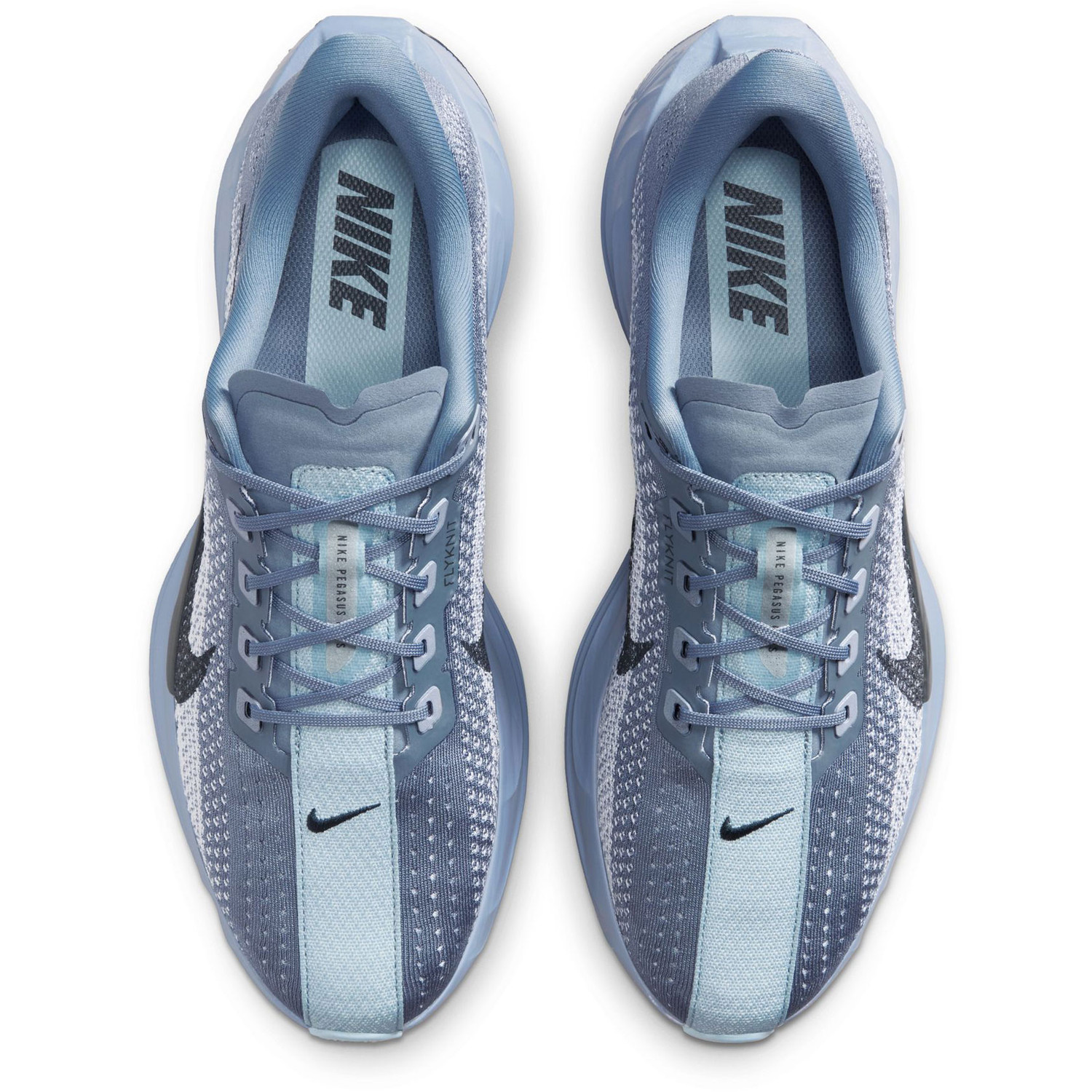 Nike Pegasus Plus Men - PassaSports.com