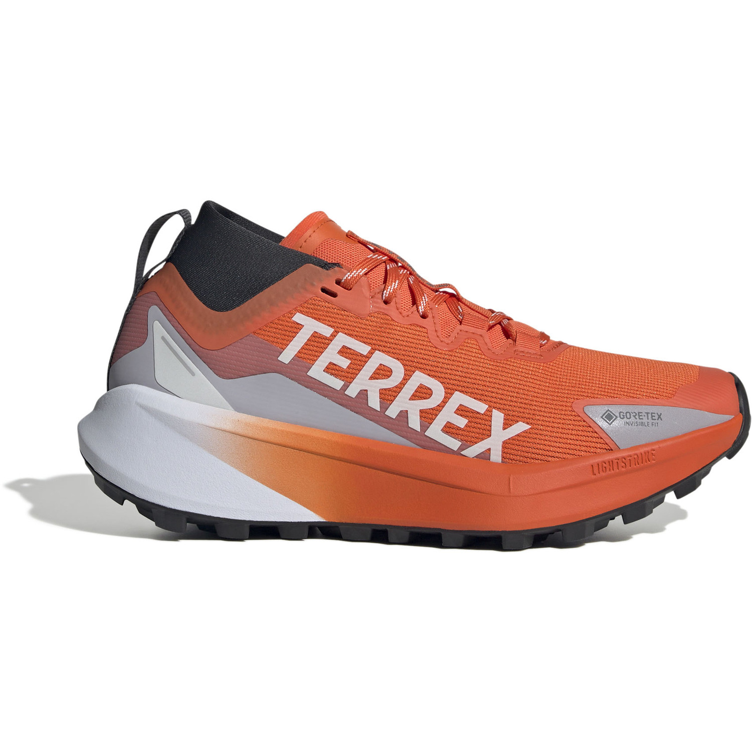 adidas Terrex Agravic GTX Damen - Main Image
