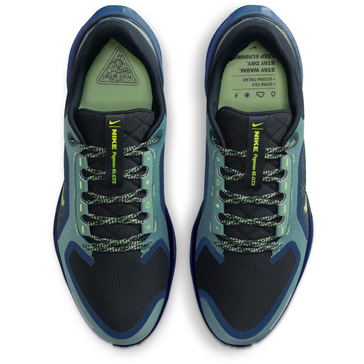 Nike Pegasus 41 GTX Men - PassaSports.com