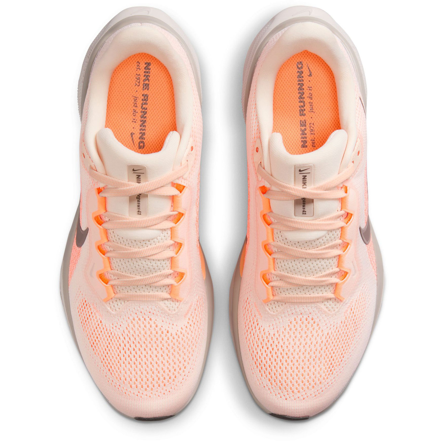 Nike Pegasus 41 Women