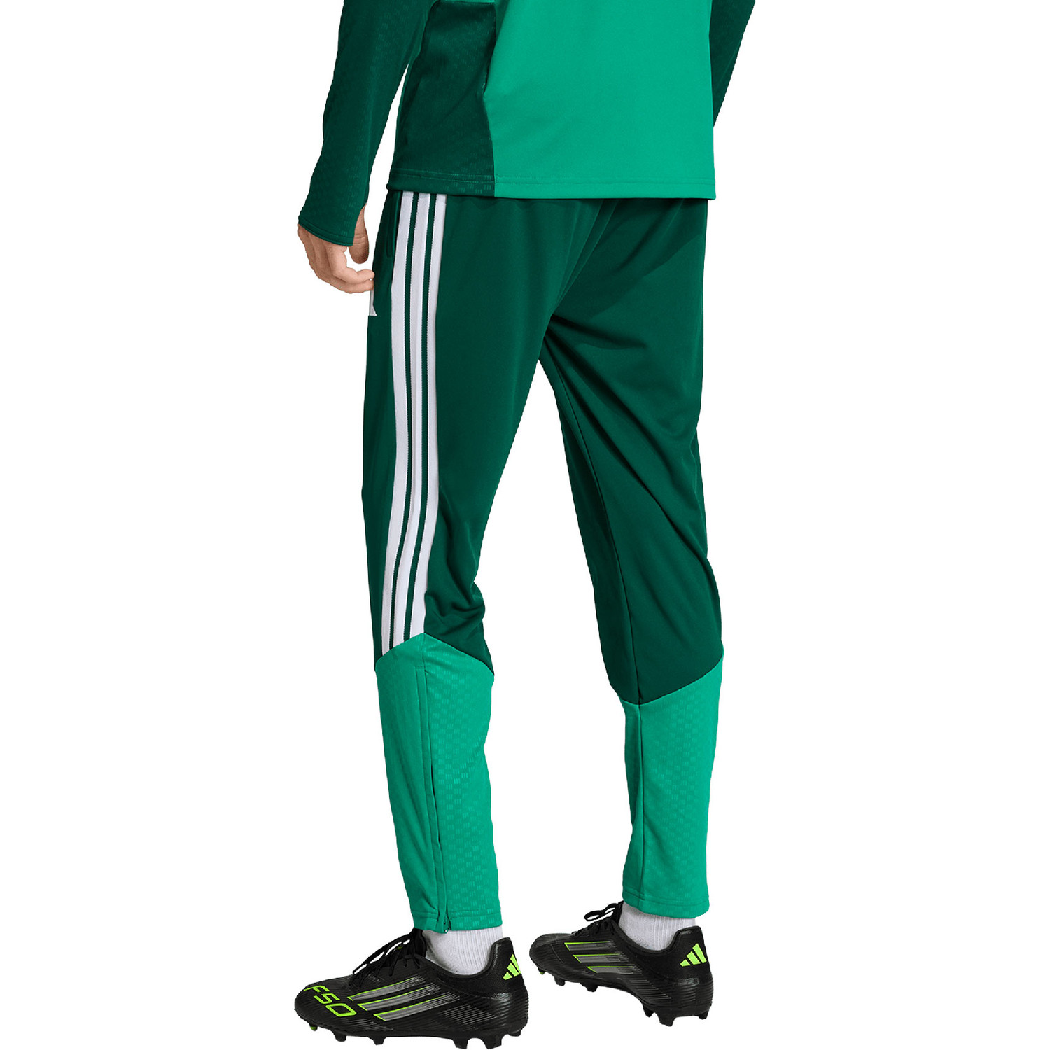 adidas Algeria Tracksuit WC 2026 - PassaSports.com