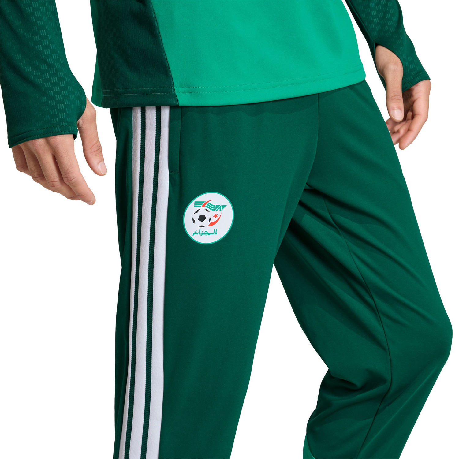 adidas Algeria Tracksuit WC 2026 - PassaSports.com